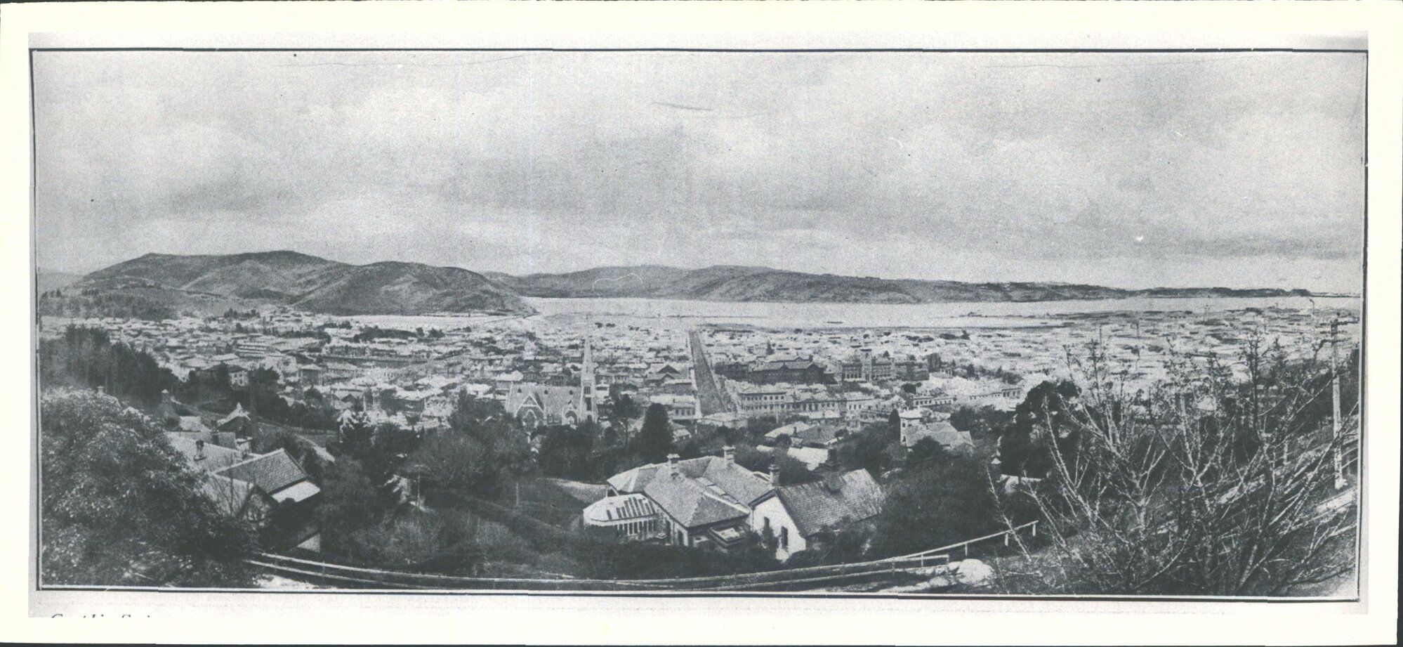 Dunedin: from Heriot Row showing Knox Church