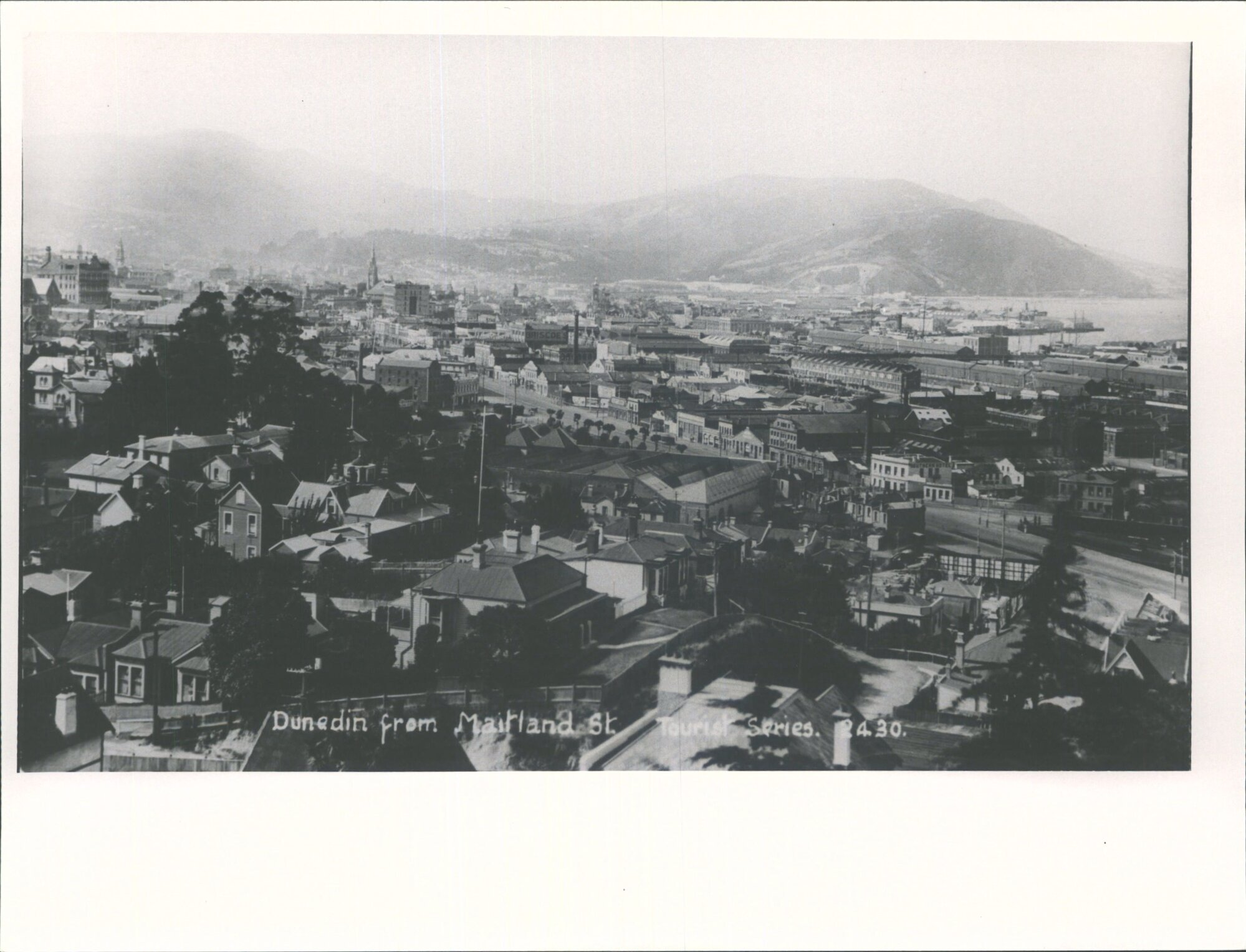 Dunedin from Maitland St.