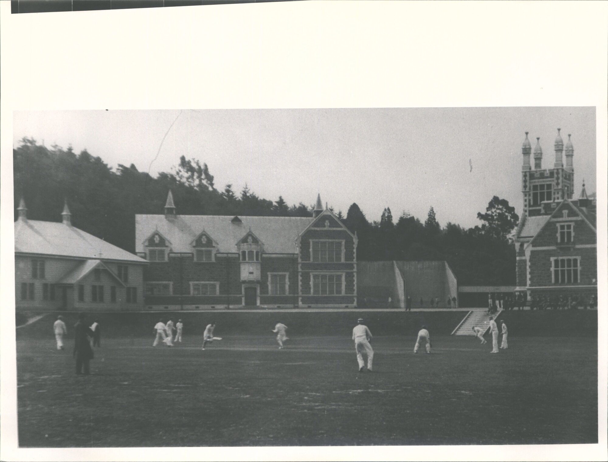 Cricket