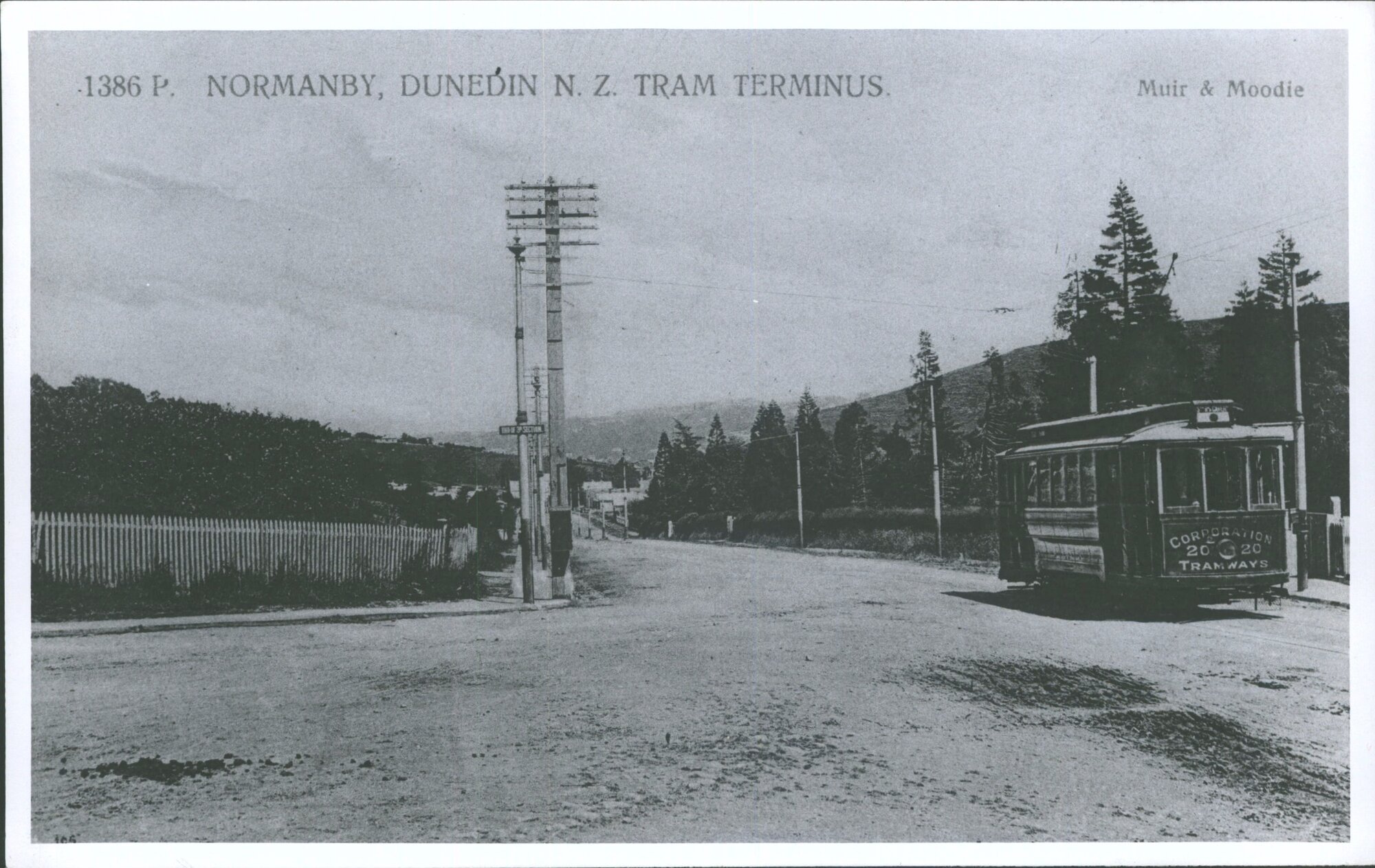 DUNEDIN. N.E.V.