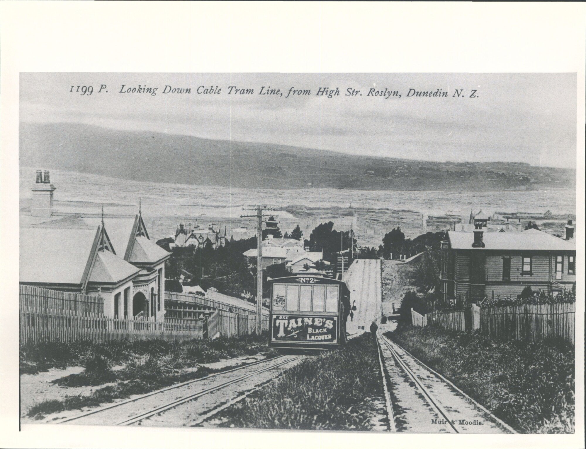 The Cable Tram line from High St, Roslyn ca 1906