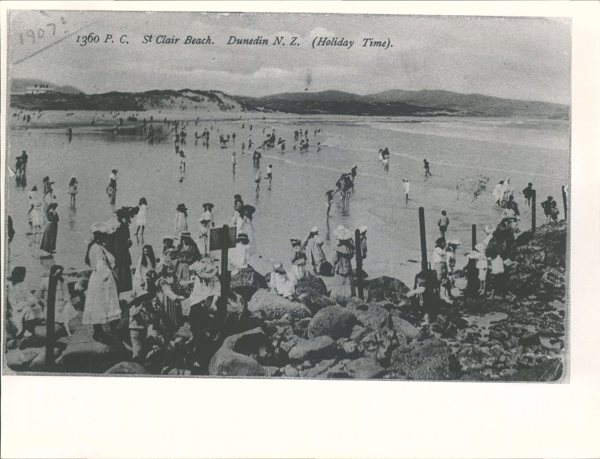 Dunedin St Clair Beach Scenes