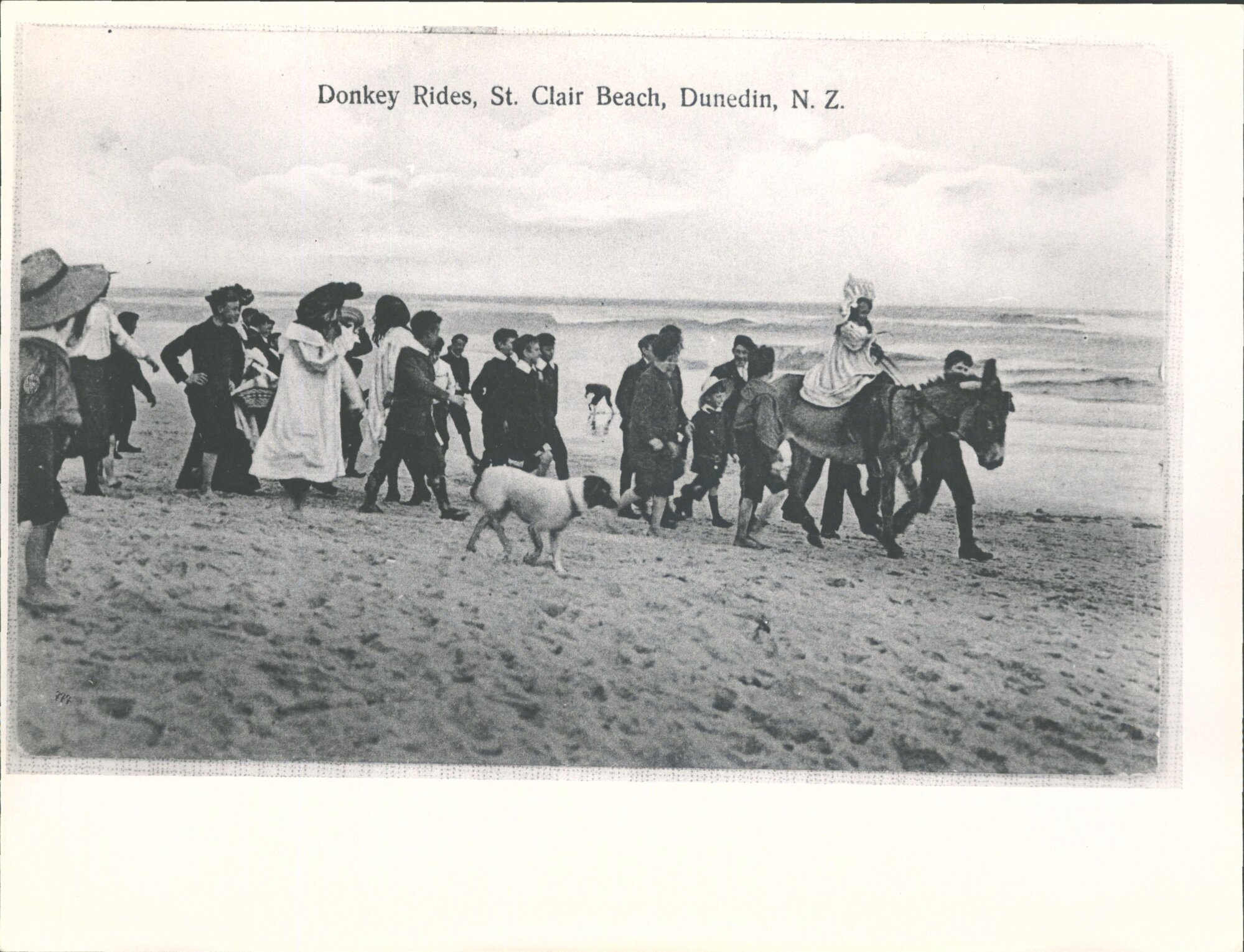 St Clair, Beach Scenes