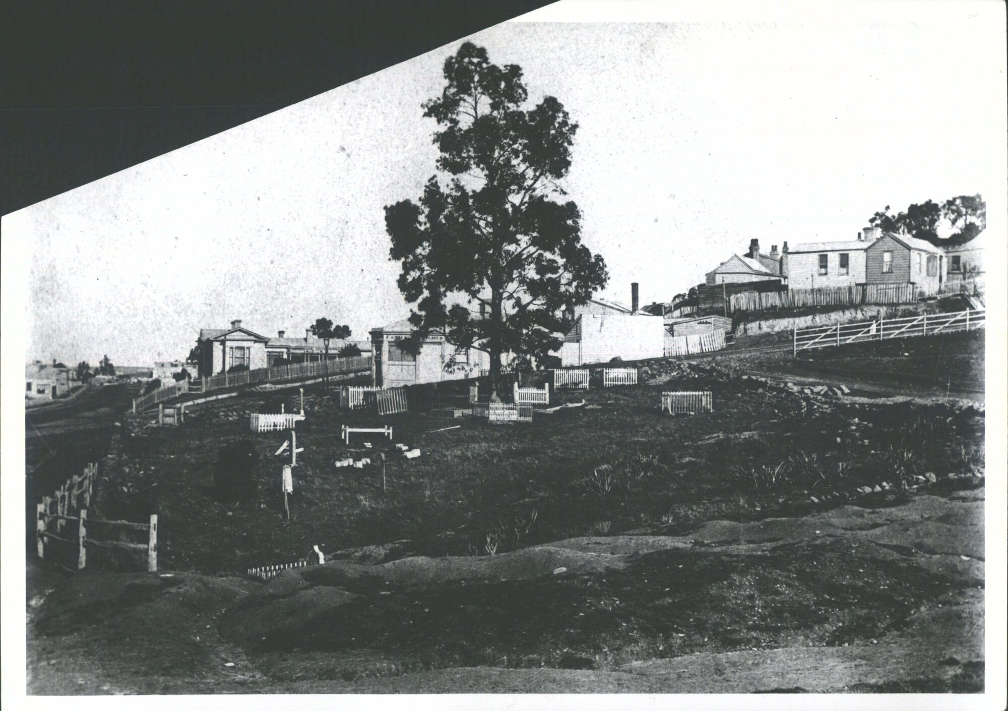 DUNEDIN: Arthur St Cemetery