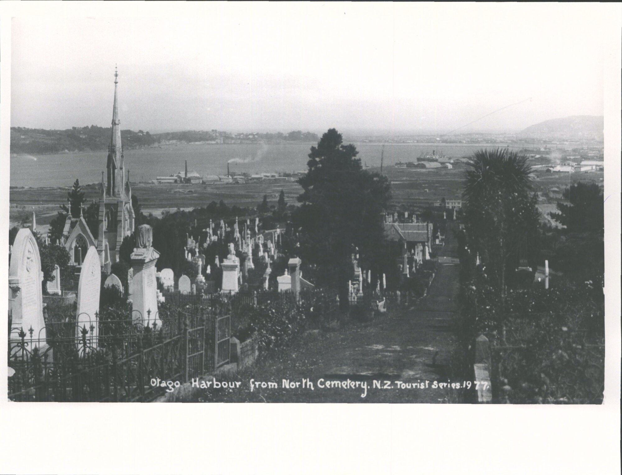Otago Harbour from North Cemetery, N.Z.