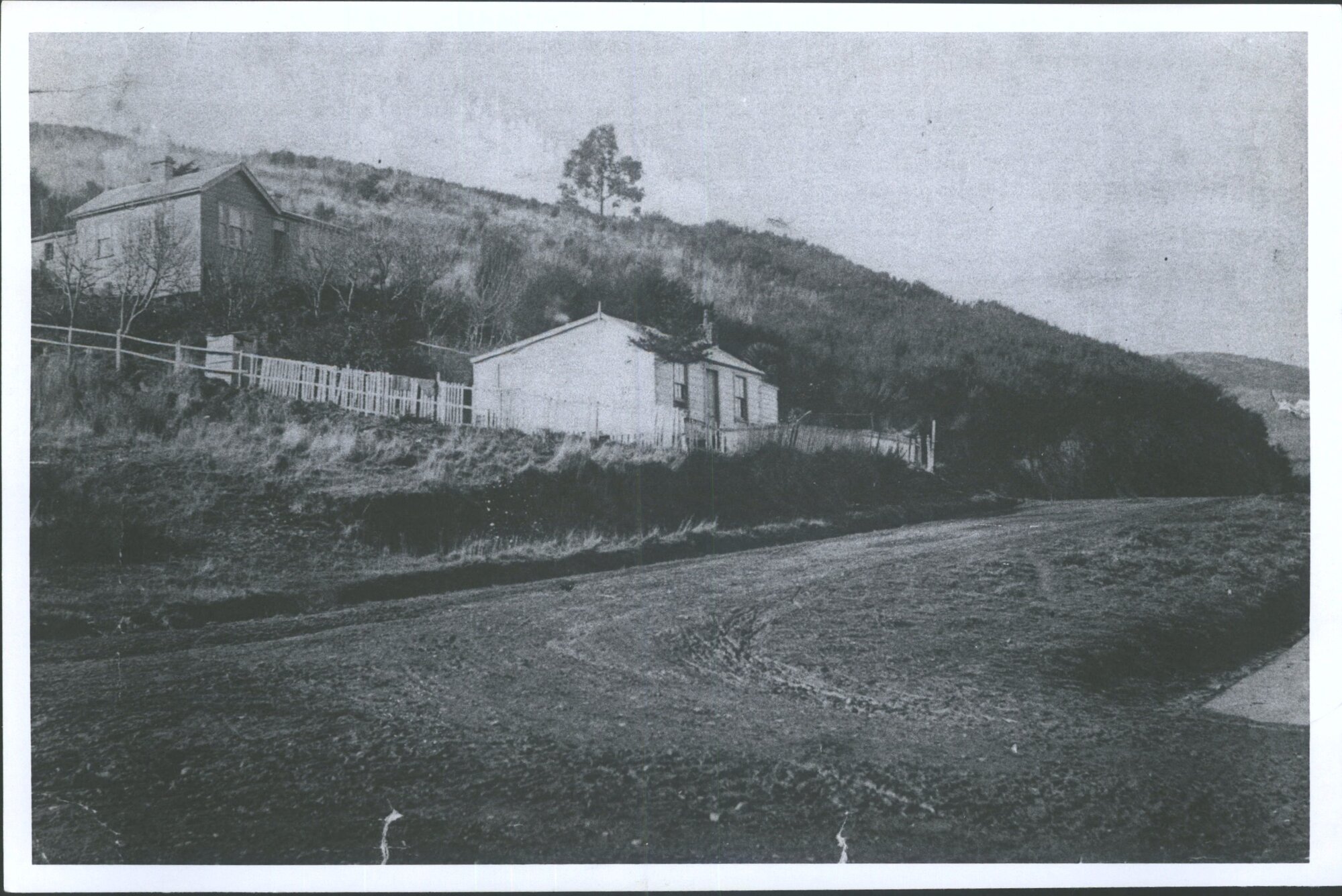 no 154