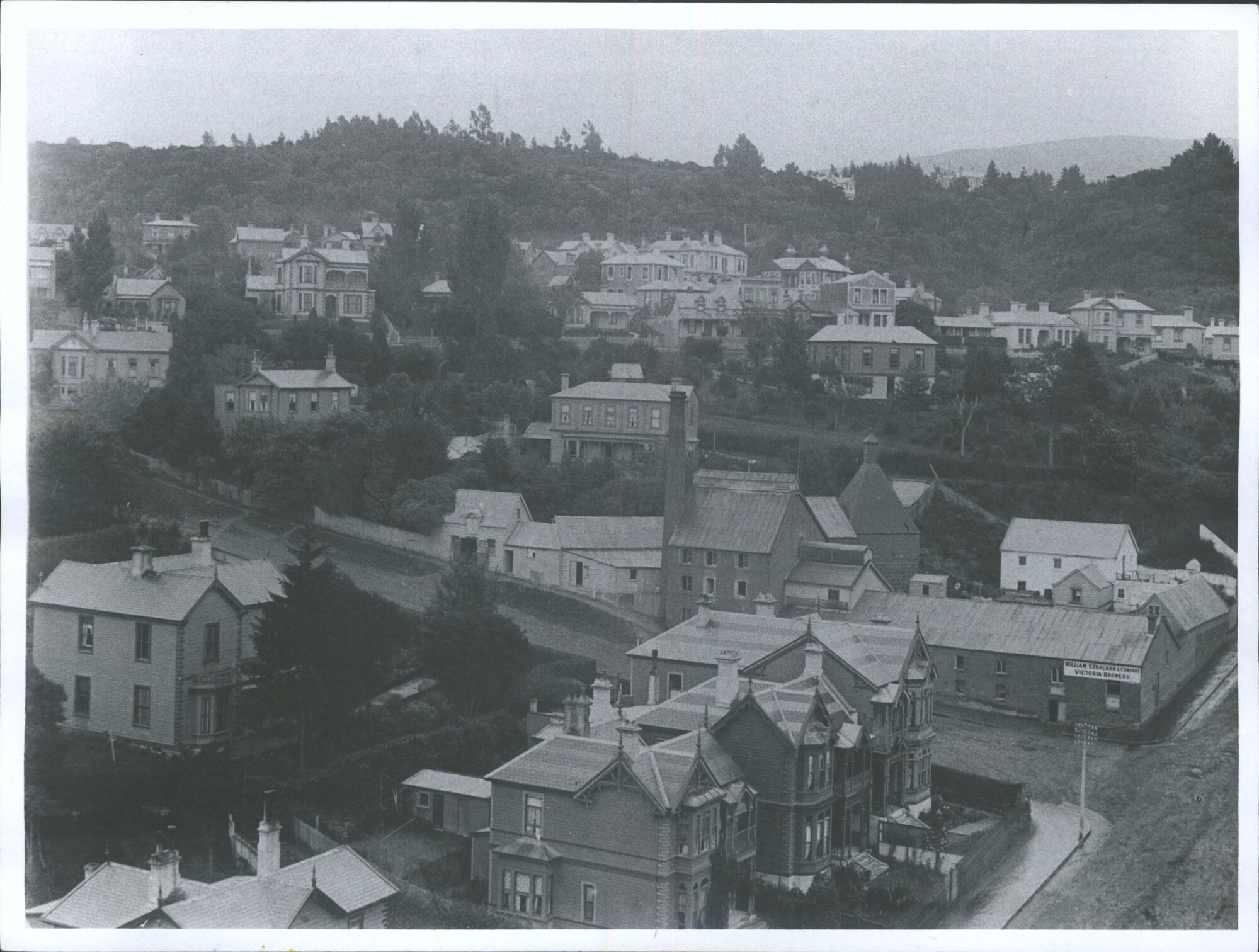 DUNEDIN: Pitt Street Elder St.