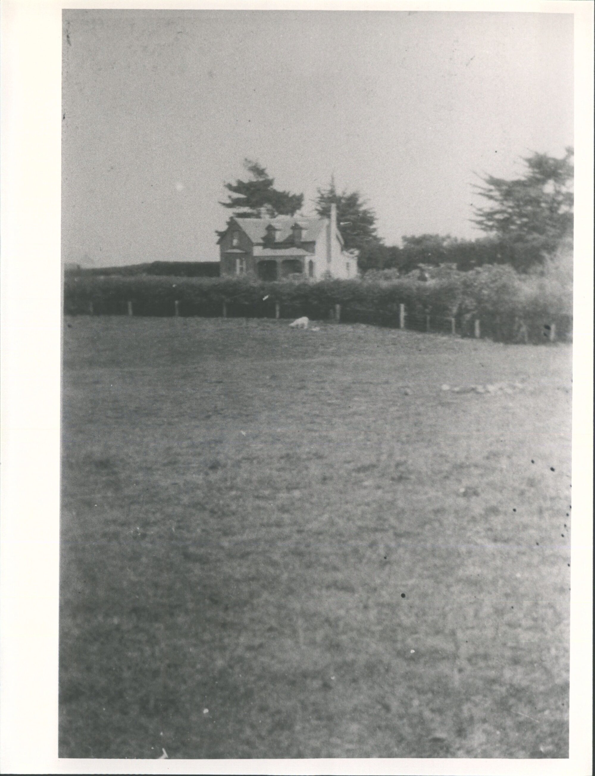 The Hope' Wangaloa once owned by Mr &amp; Mrs Geo Greig Sim