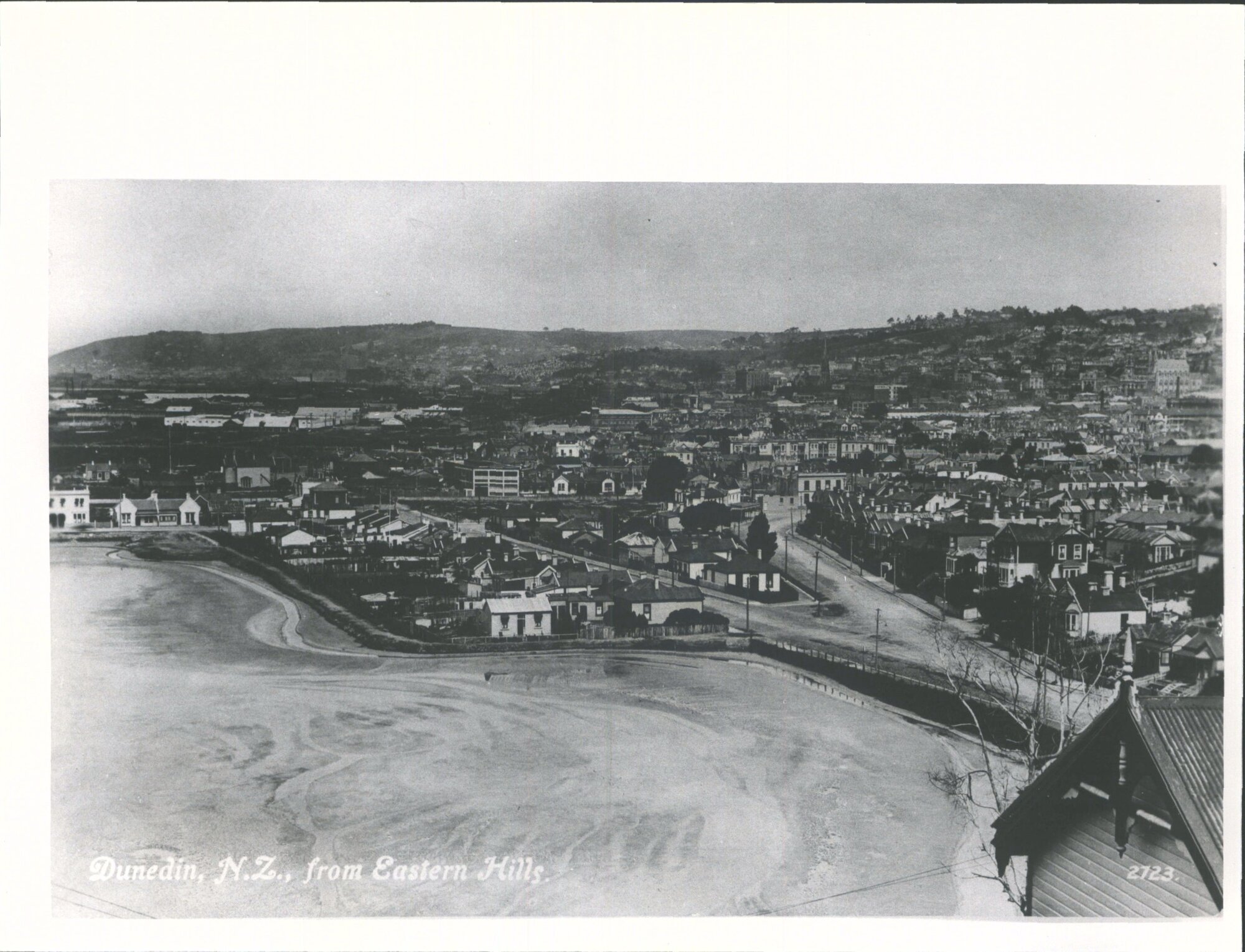 Dunedin, from eastern hills