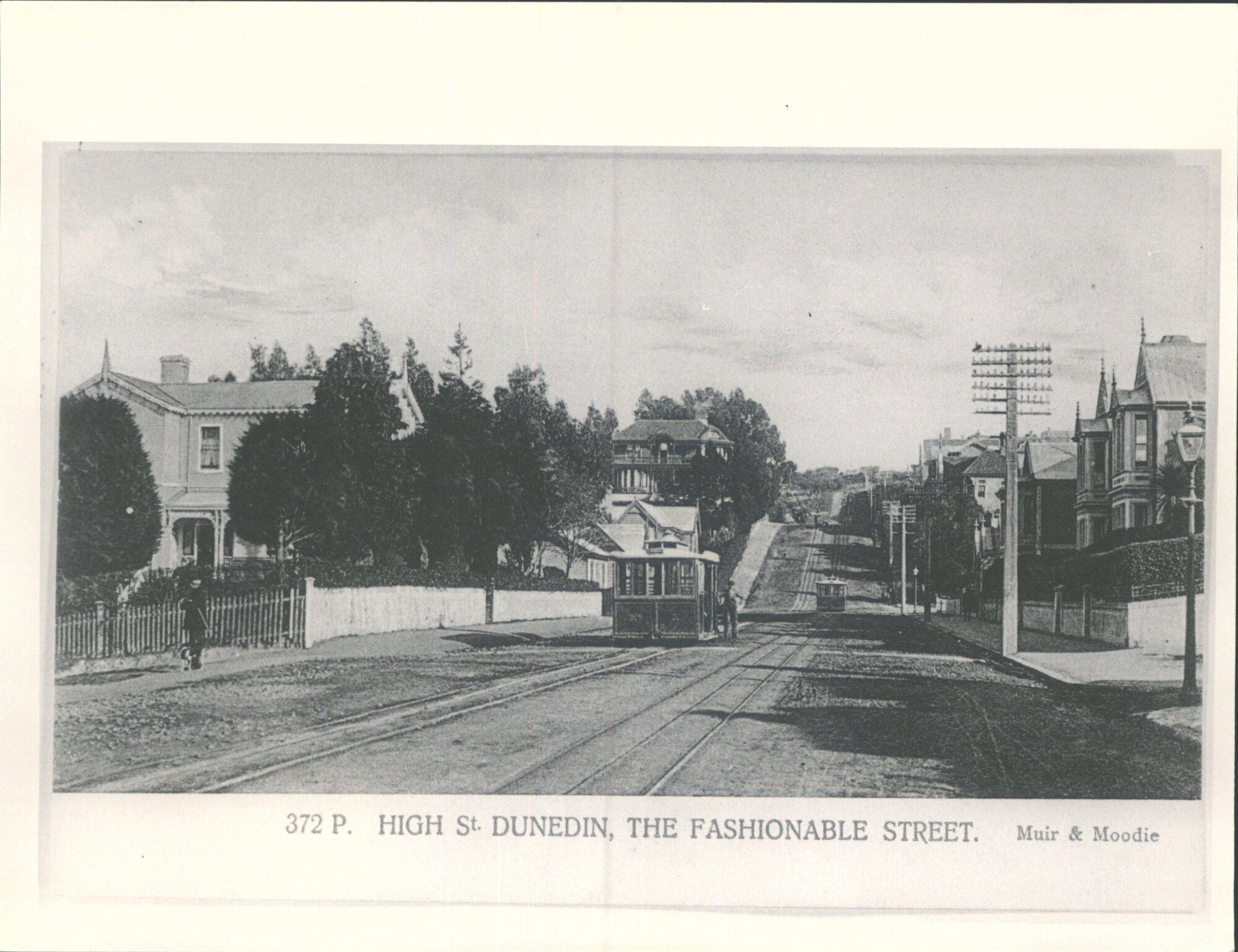 High St. Dunedin, the fashionable street