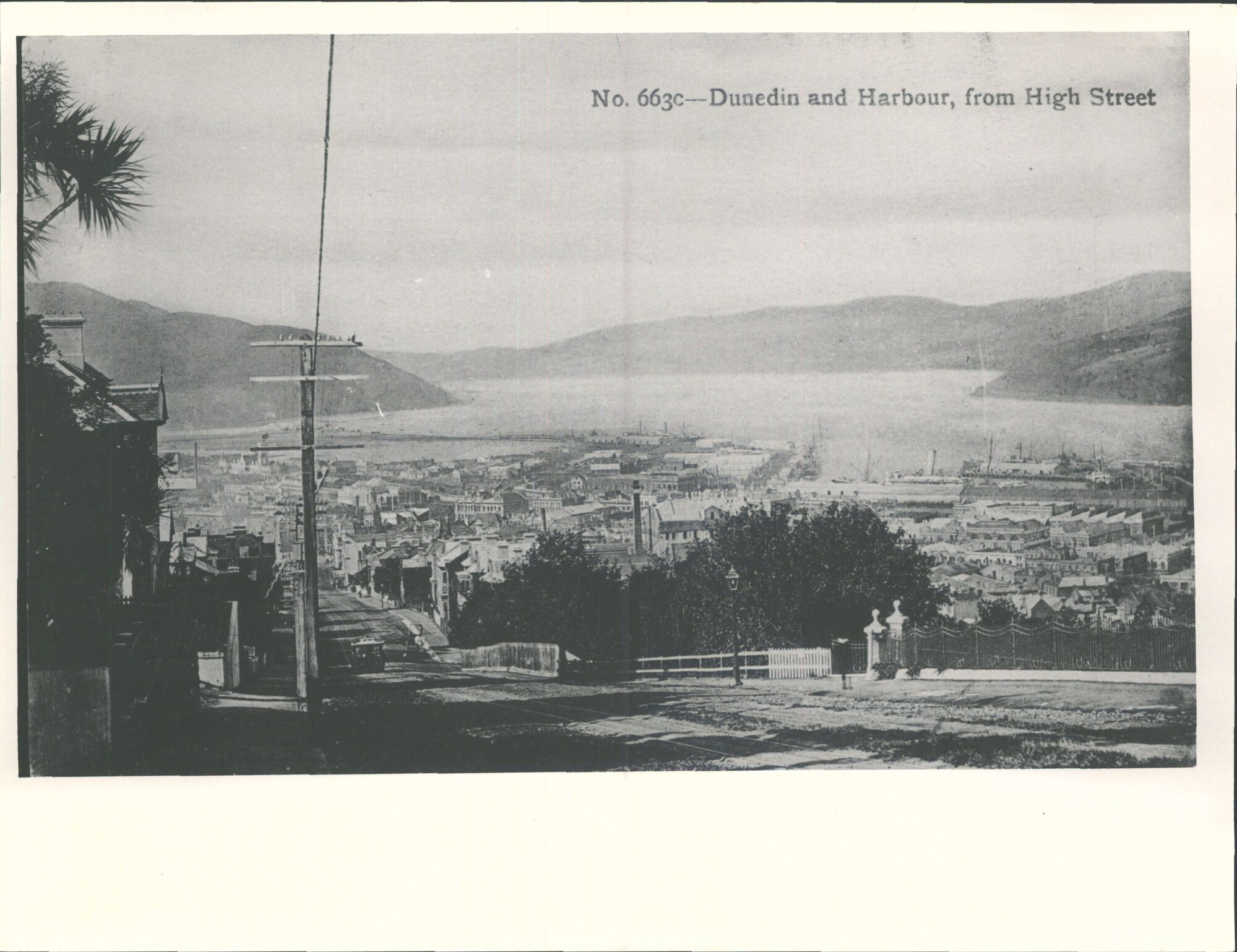 Dunedin and harbour, from High Street