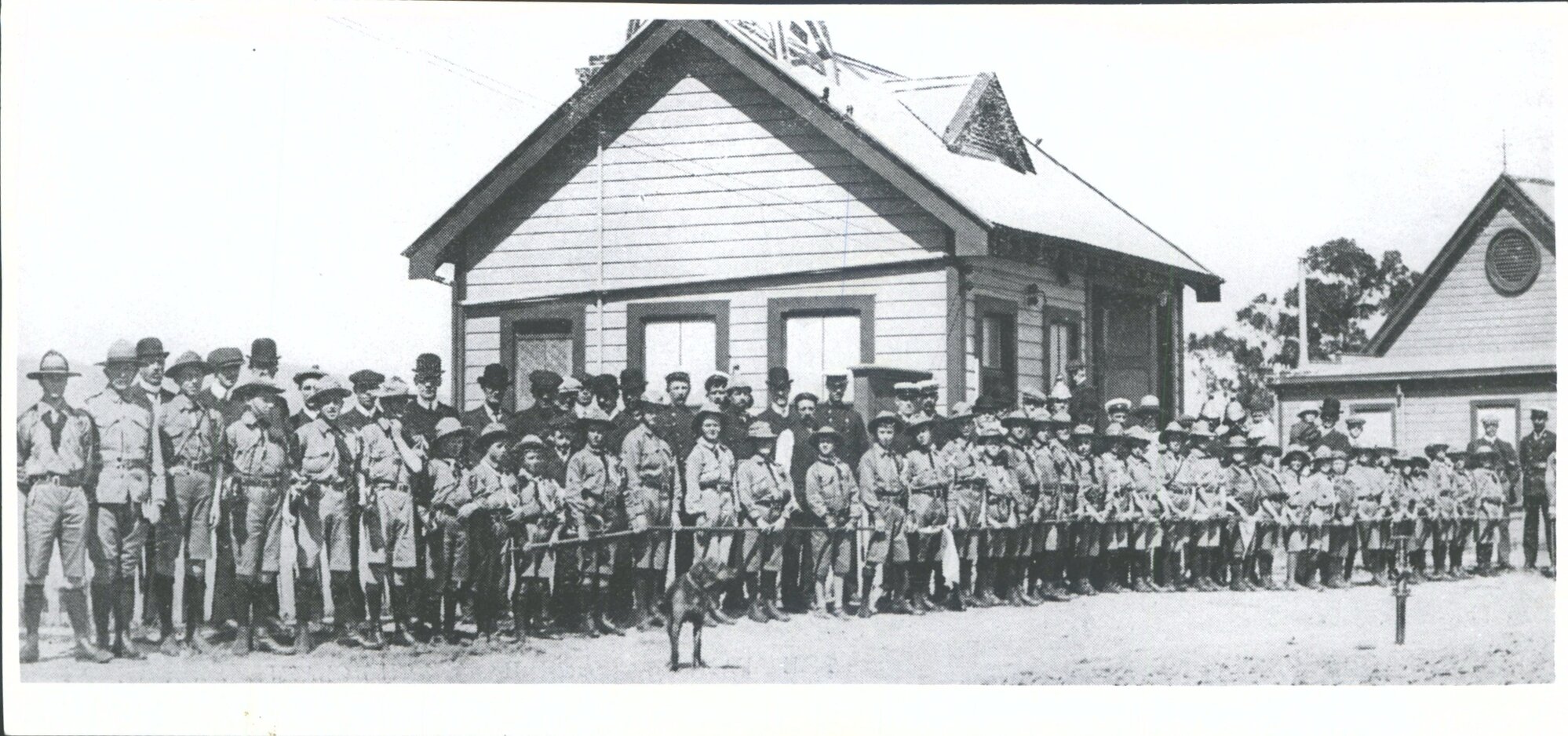 'A group of the Roslyn and Maori, Hill Boy Scouts'