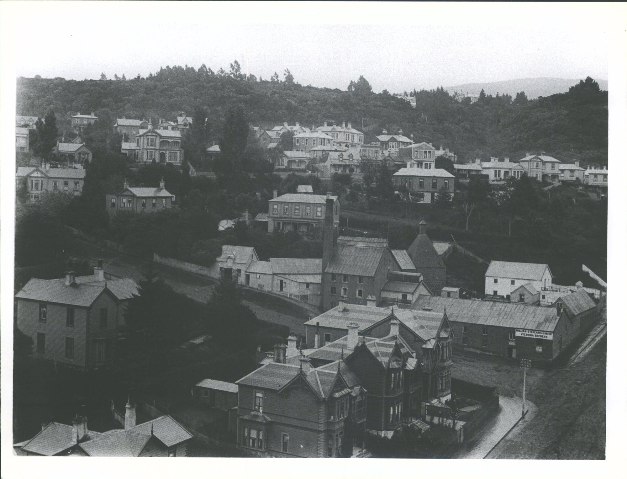 Taken from the Knox Steeple on Mafeking Day.