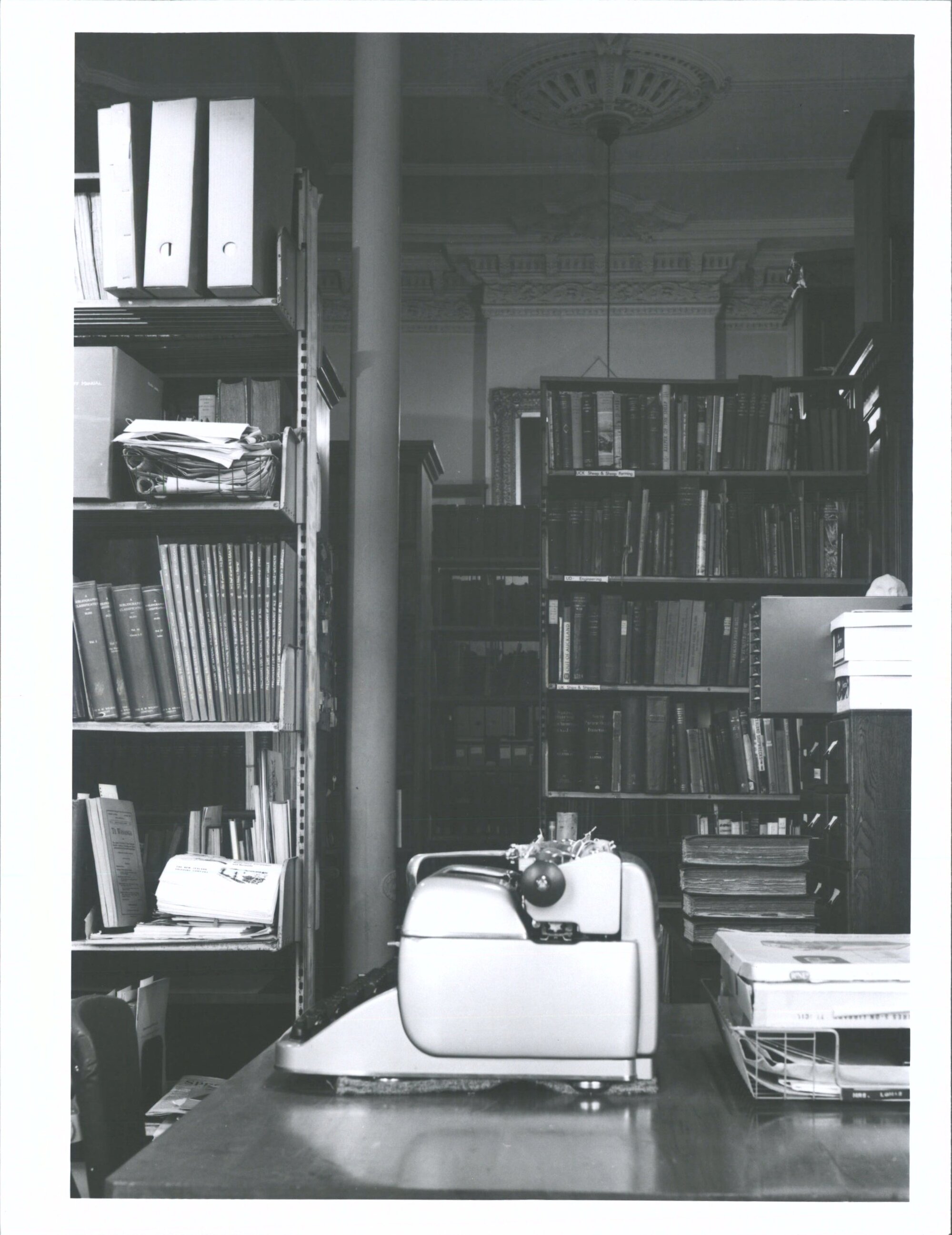 Workroom from North window's facing South