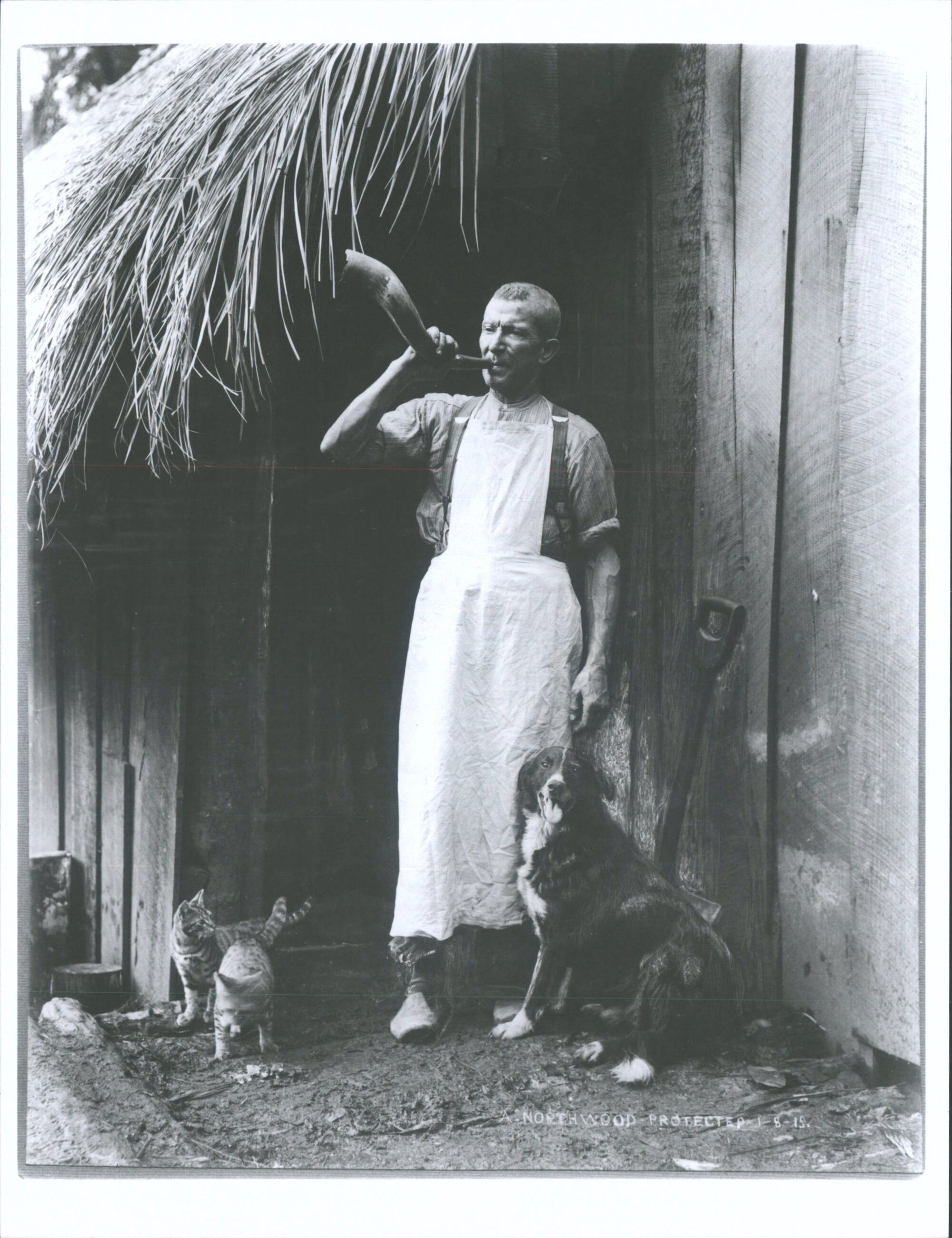 Omahuta "A typical picture of the "doctor" or cook calling the men to dinner"