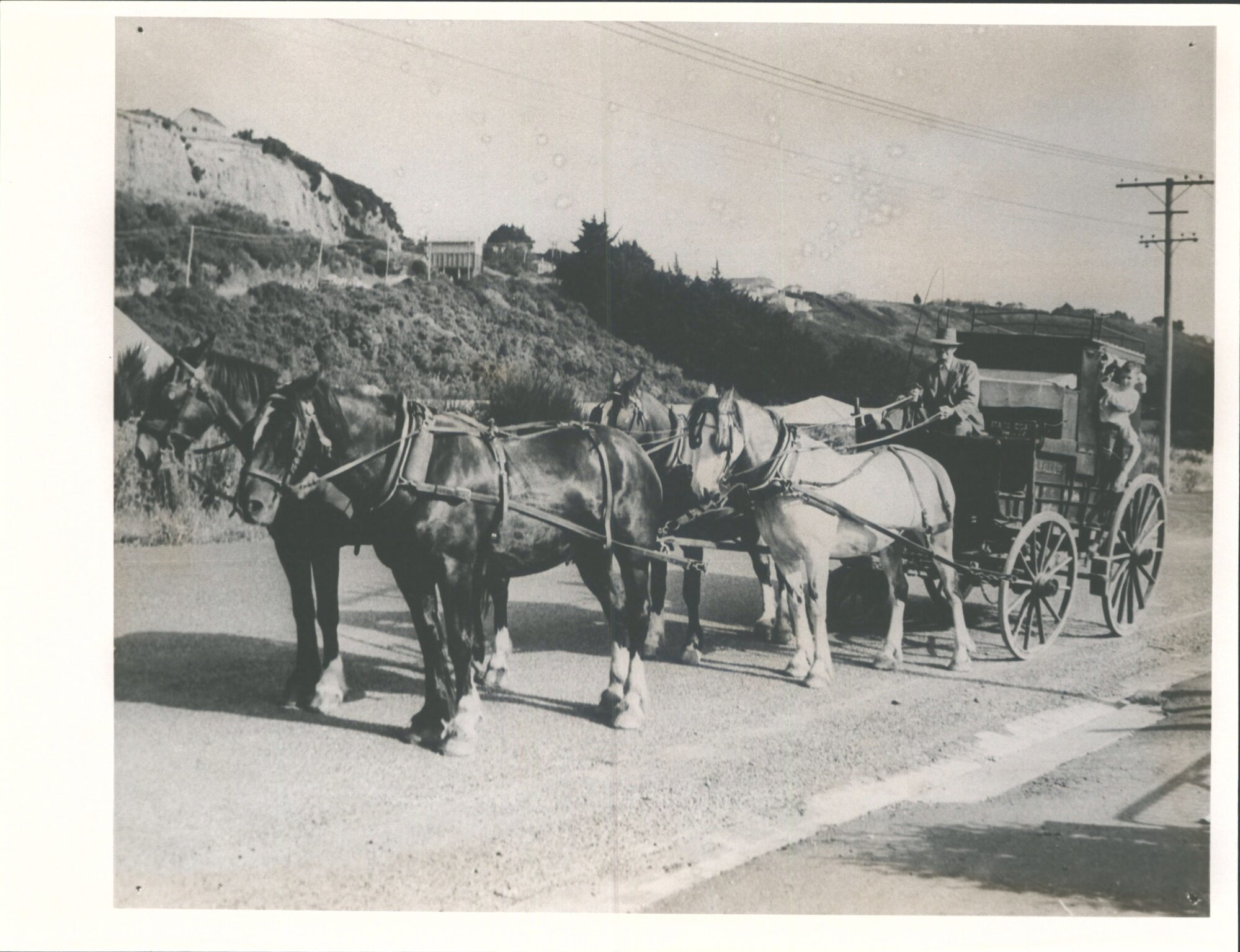 (Mr Fox, Farmer. Barr St. Mornington Driver)