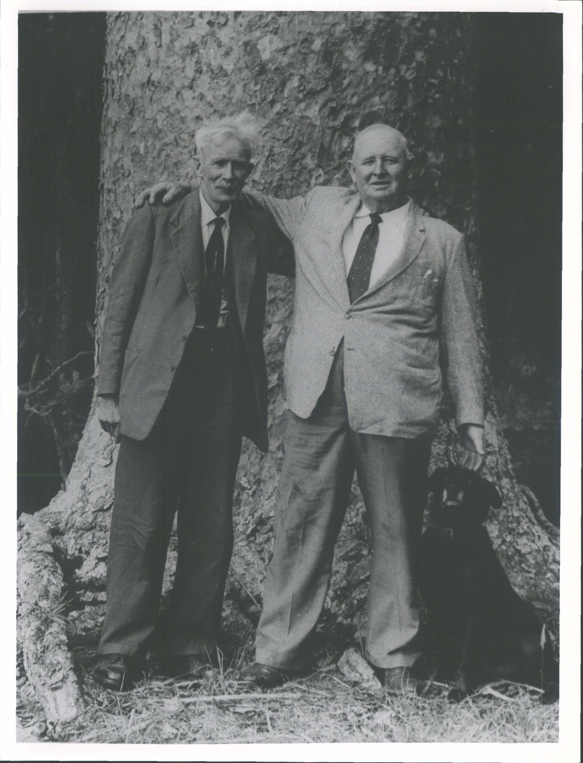 Portraits A H Reed &amp; T W Collins  'Author and photographer of 'The story of kauri " with the photographer's retriever Kim at Tho