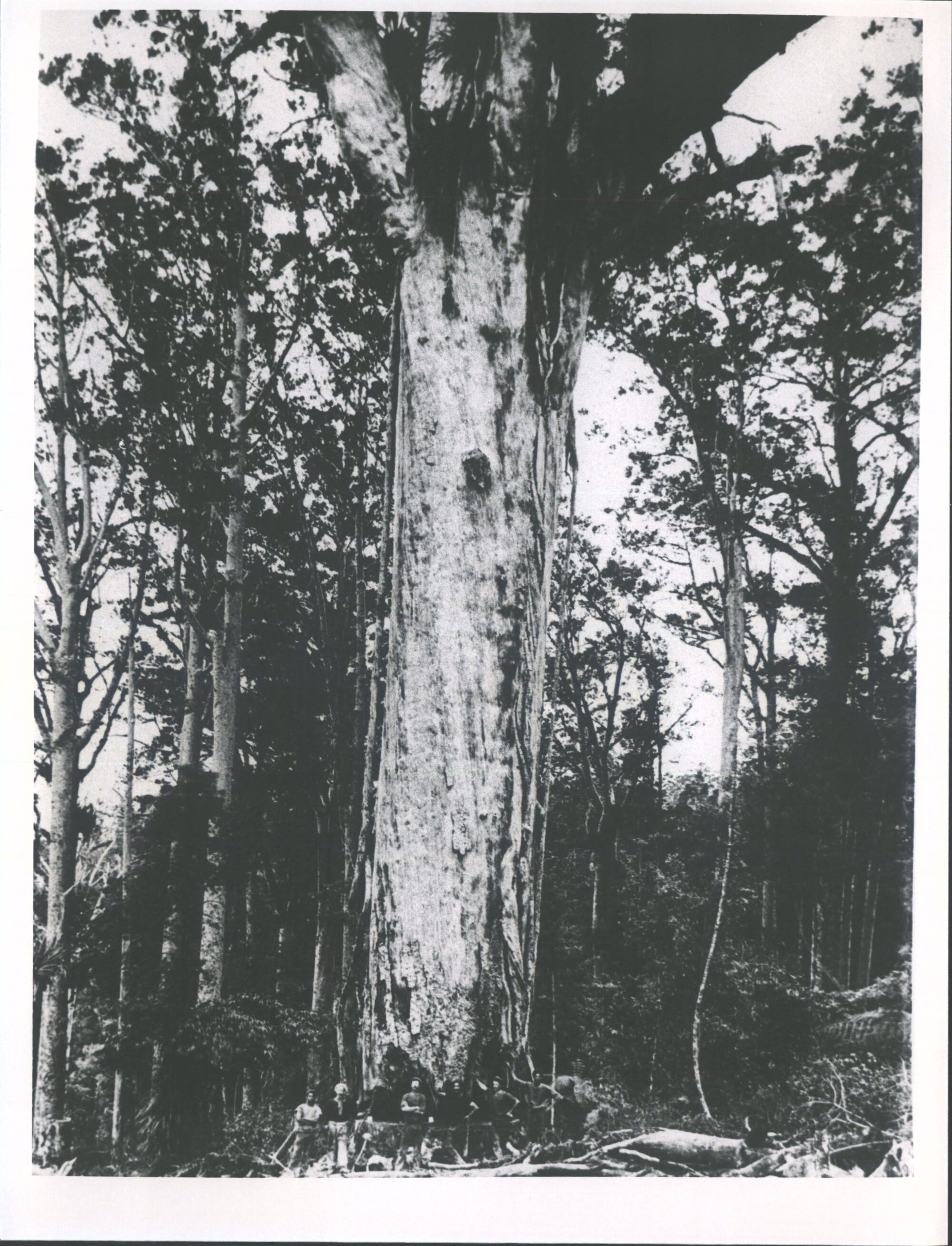 T. C. Hawkins contract 1910-11 etc