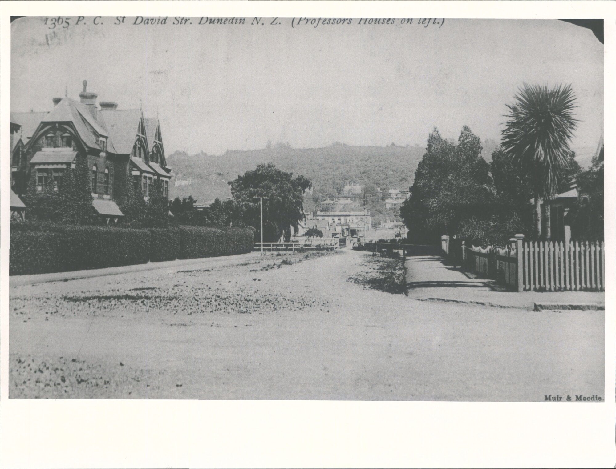 St David Street