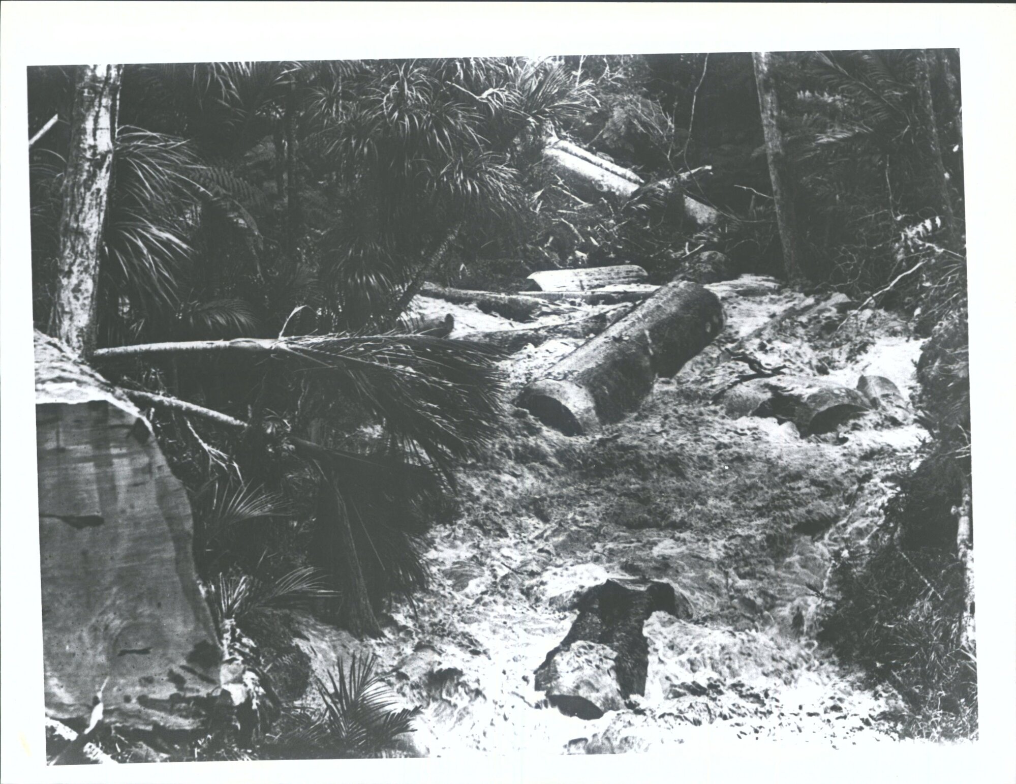 A drive in action in small creek at Mata