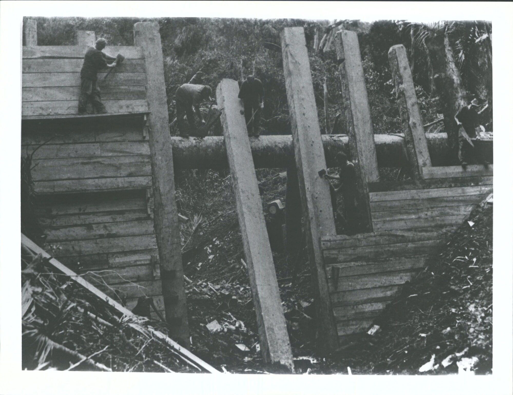 Dam Builders at Work