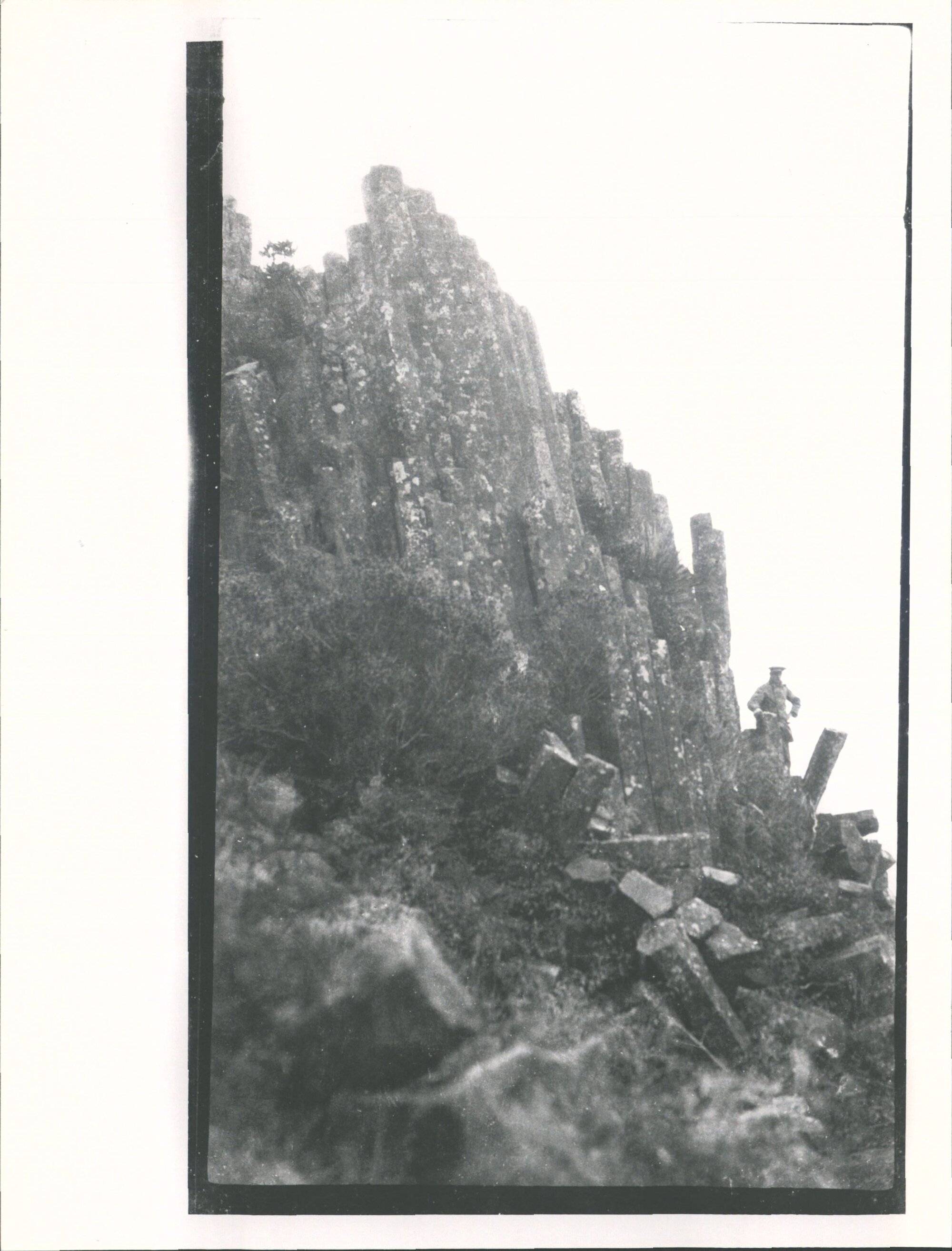 Organ pipes