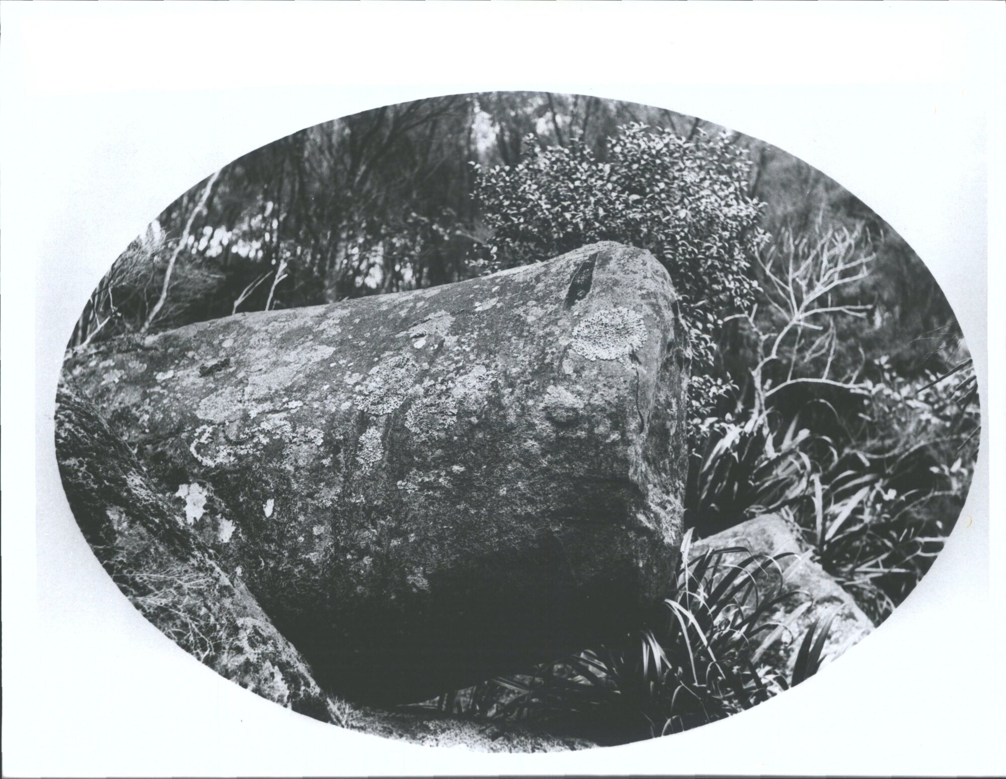 "Curious basaltic  column at a small bay near keri keri - Bay of Islands. There are a number of small ones, scattered on the sid