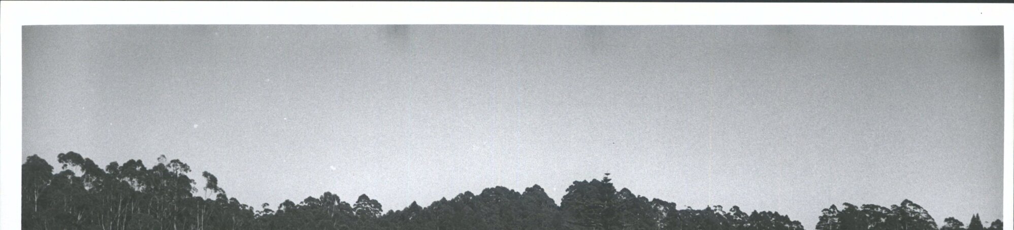 Stone Store &amp; Kemp House