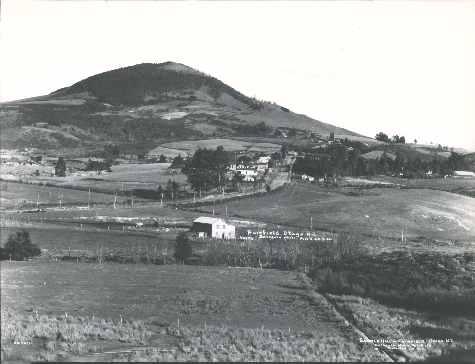 SADDLE HILL &amp; FAIRFIELD