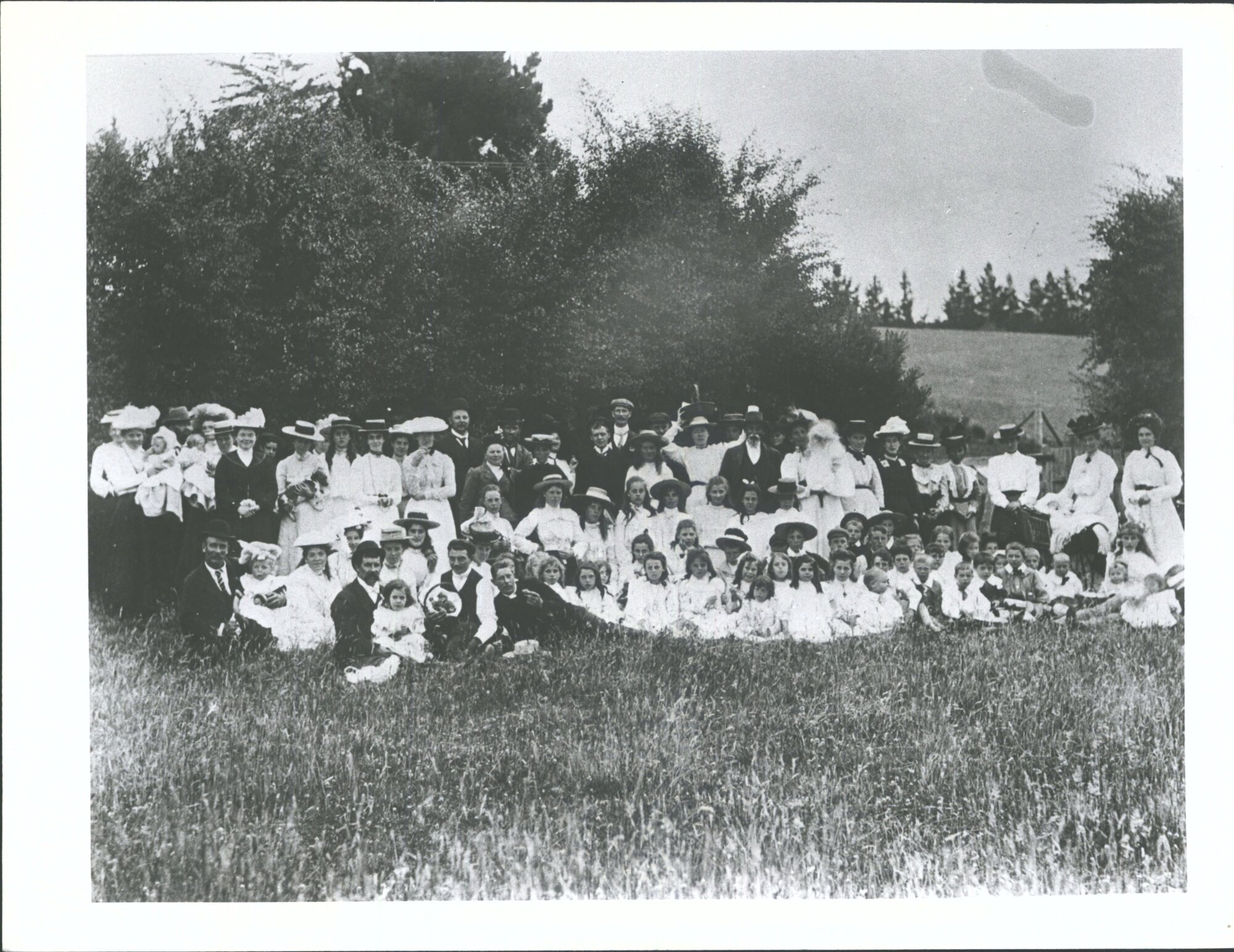 Social gathering, picnic