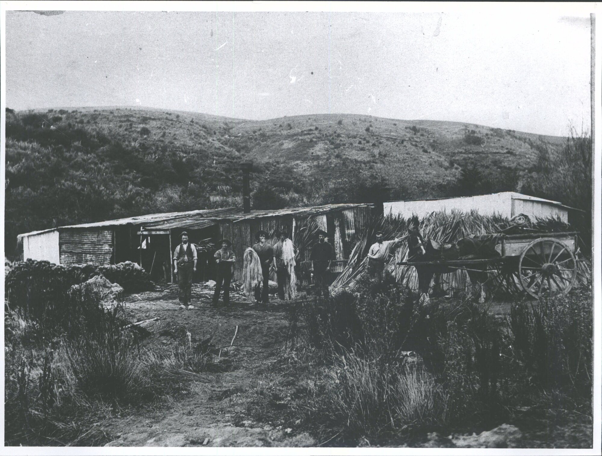 FLAX- Waitahuna Mill