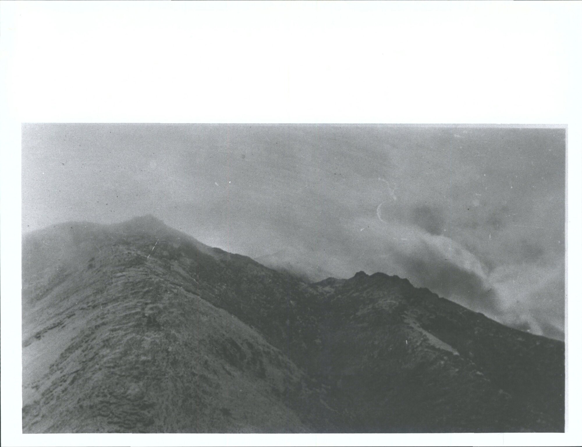 Mt Linton Station, autumn muster