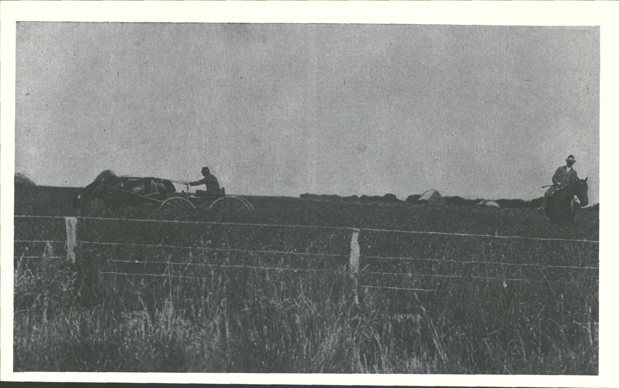 A hay crop had been harvested off this field only 6 weeks previous