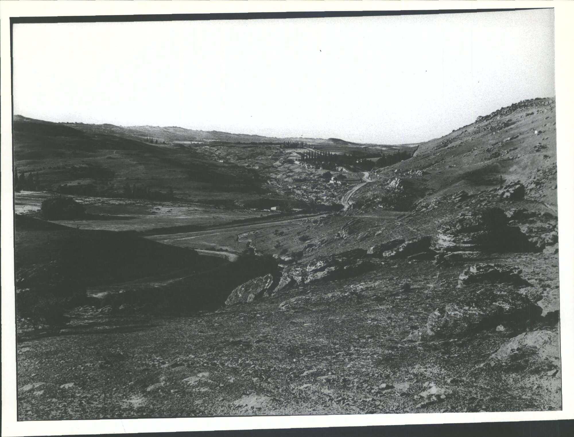 BALD HILL FLAT with old diggings between Alexandra &amp; Roxburgh
