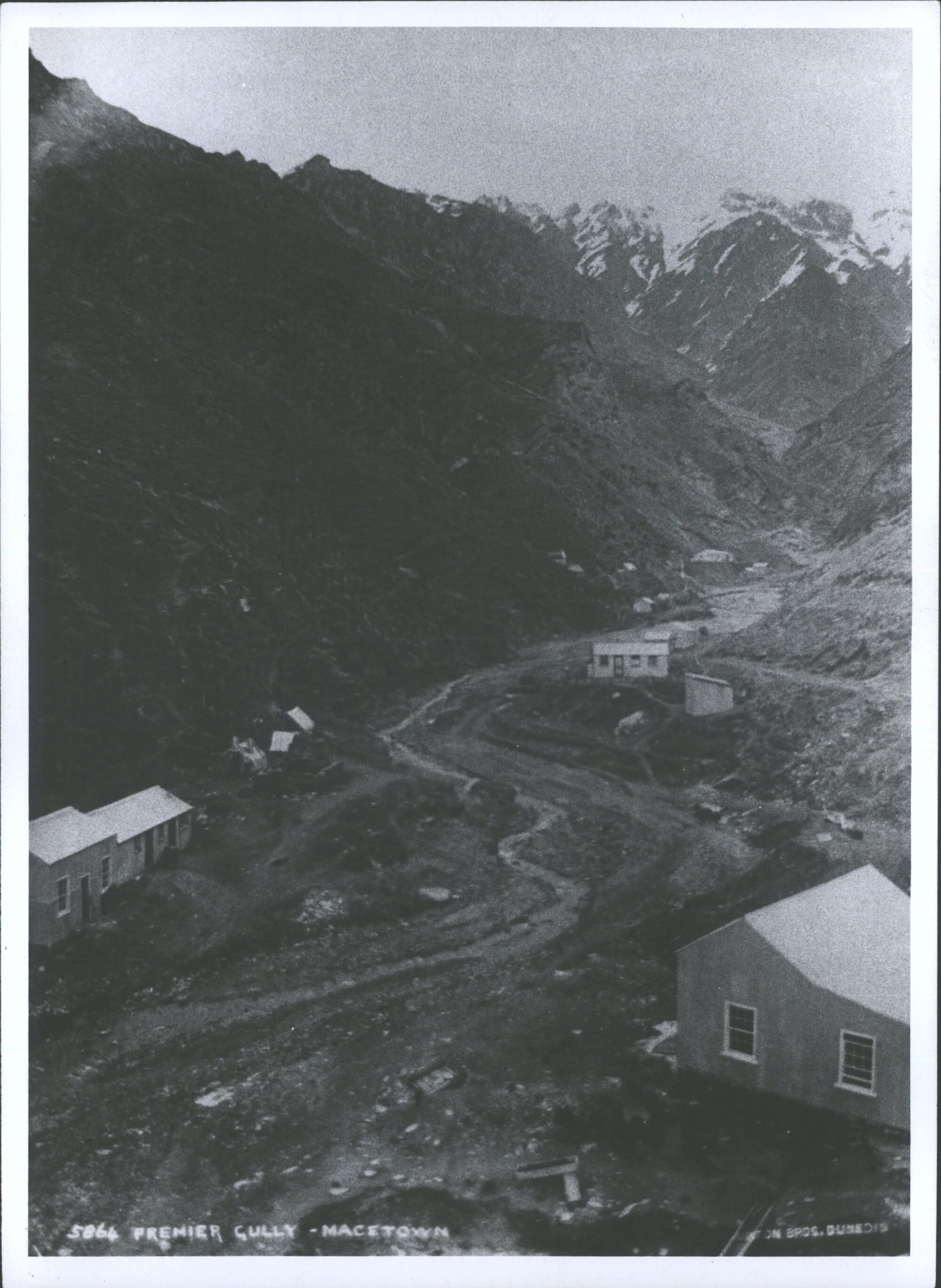 Premier Gully - Macetown