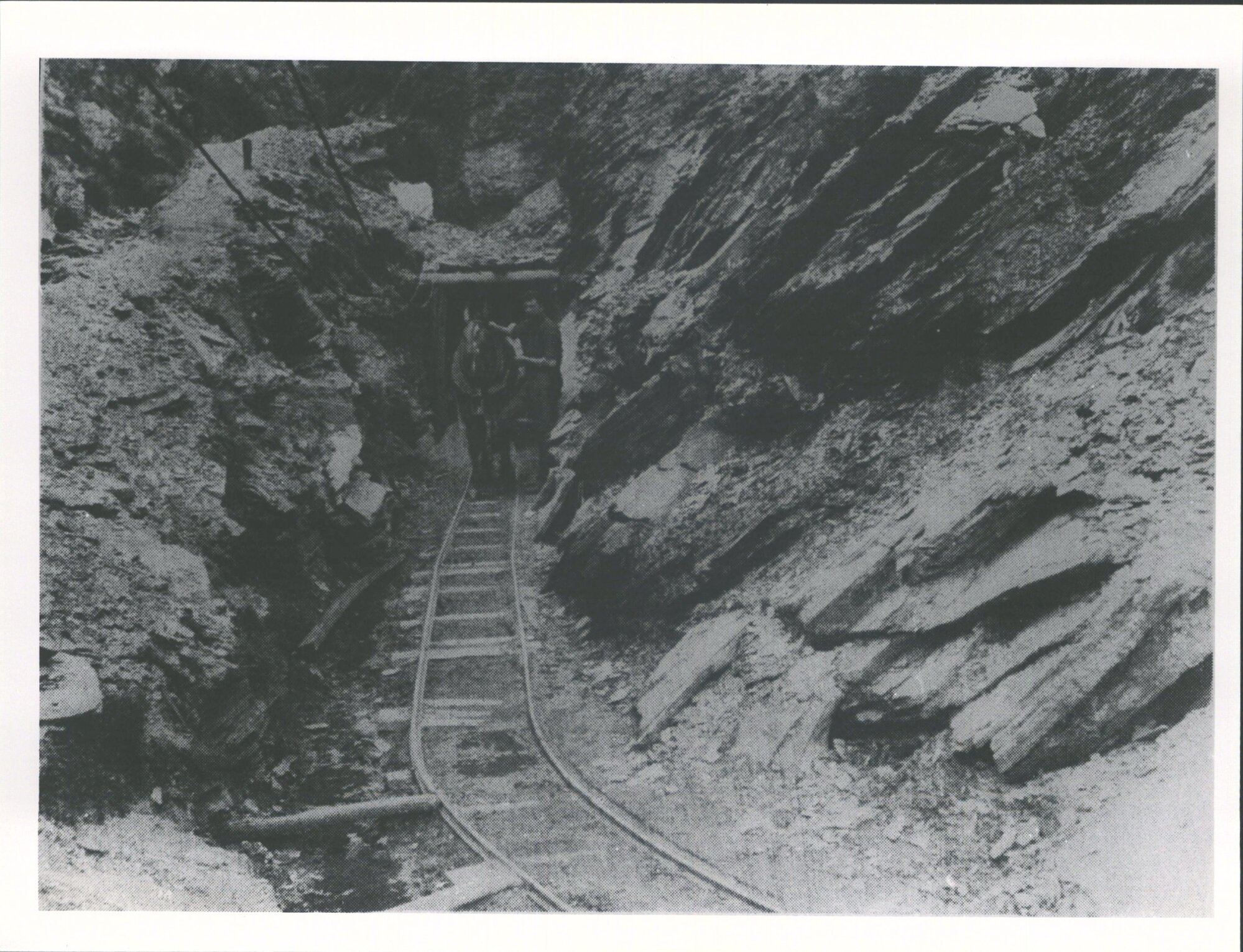Premier Mine. Macetown Otago-Entrance to Low-level Adit