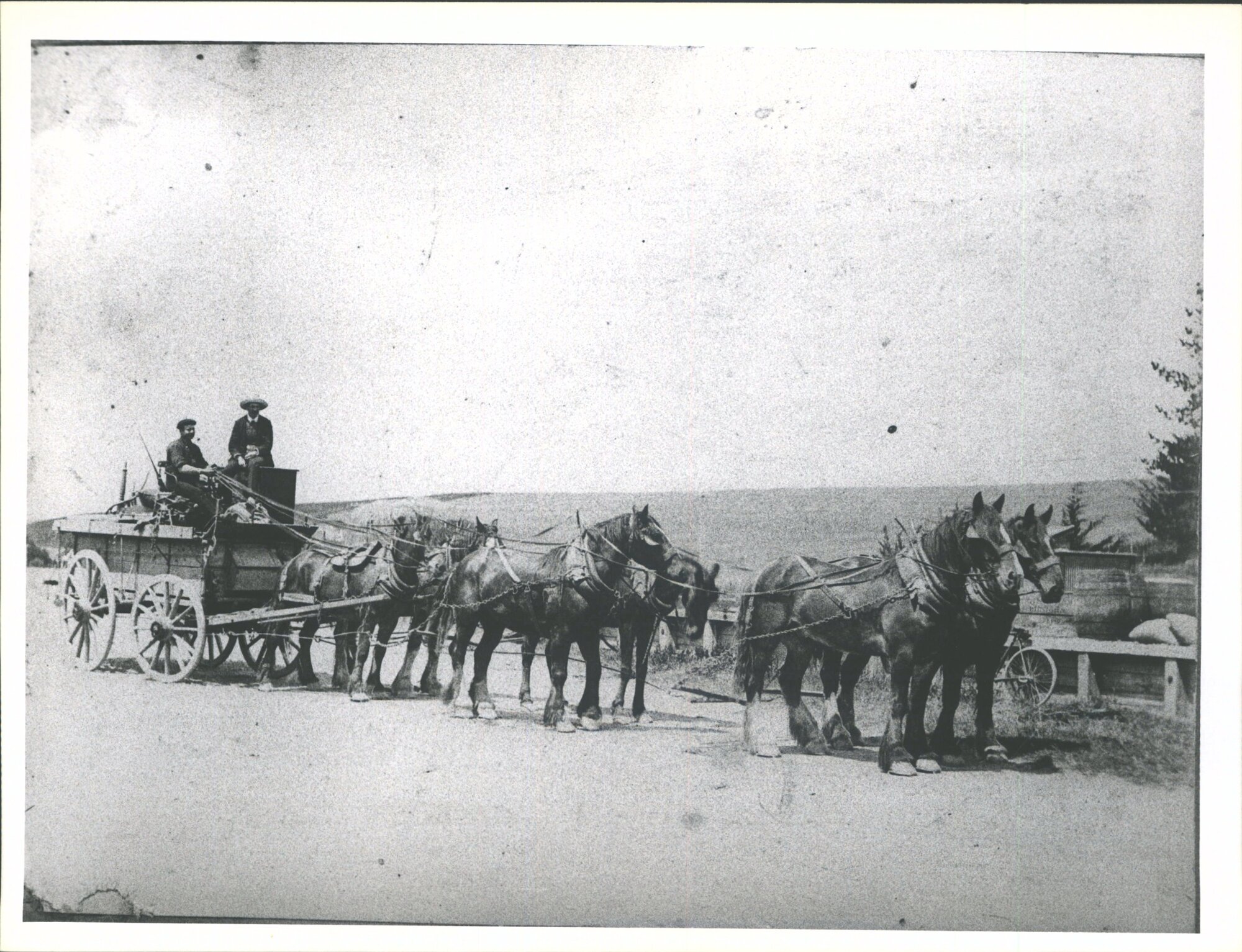 Macraes Carrier at Dunback Station