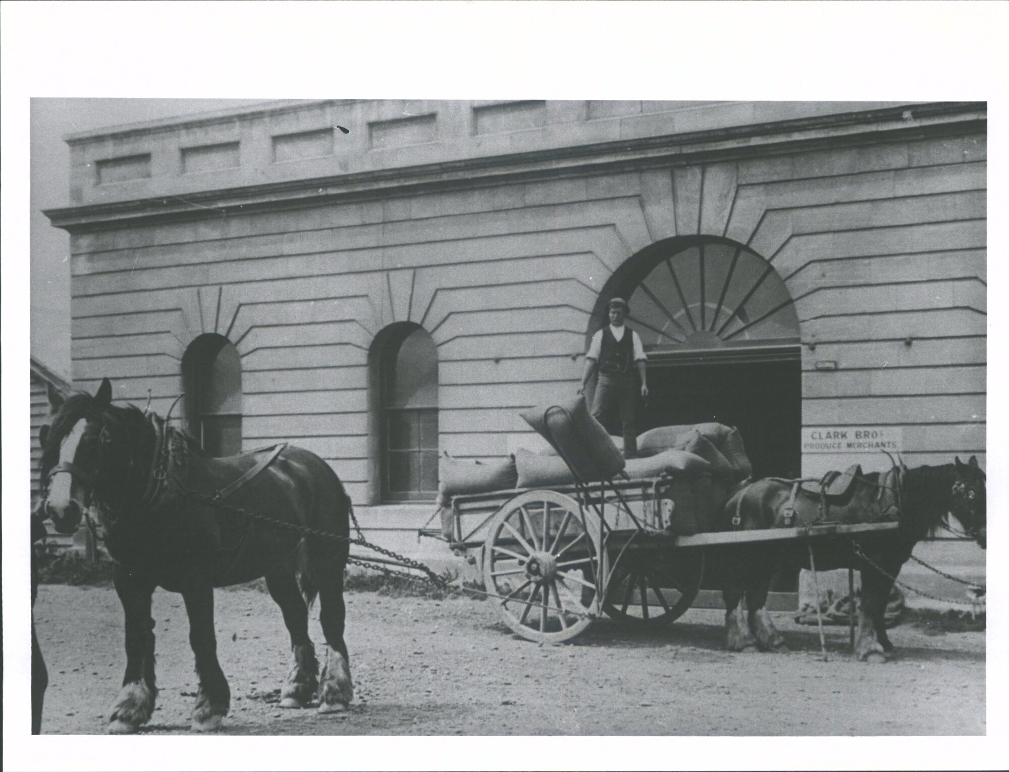 Clark Bros store, horse and cart.