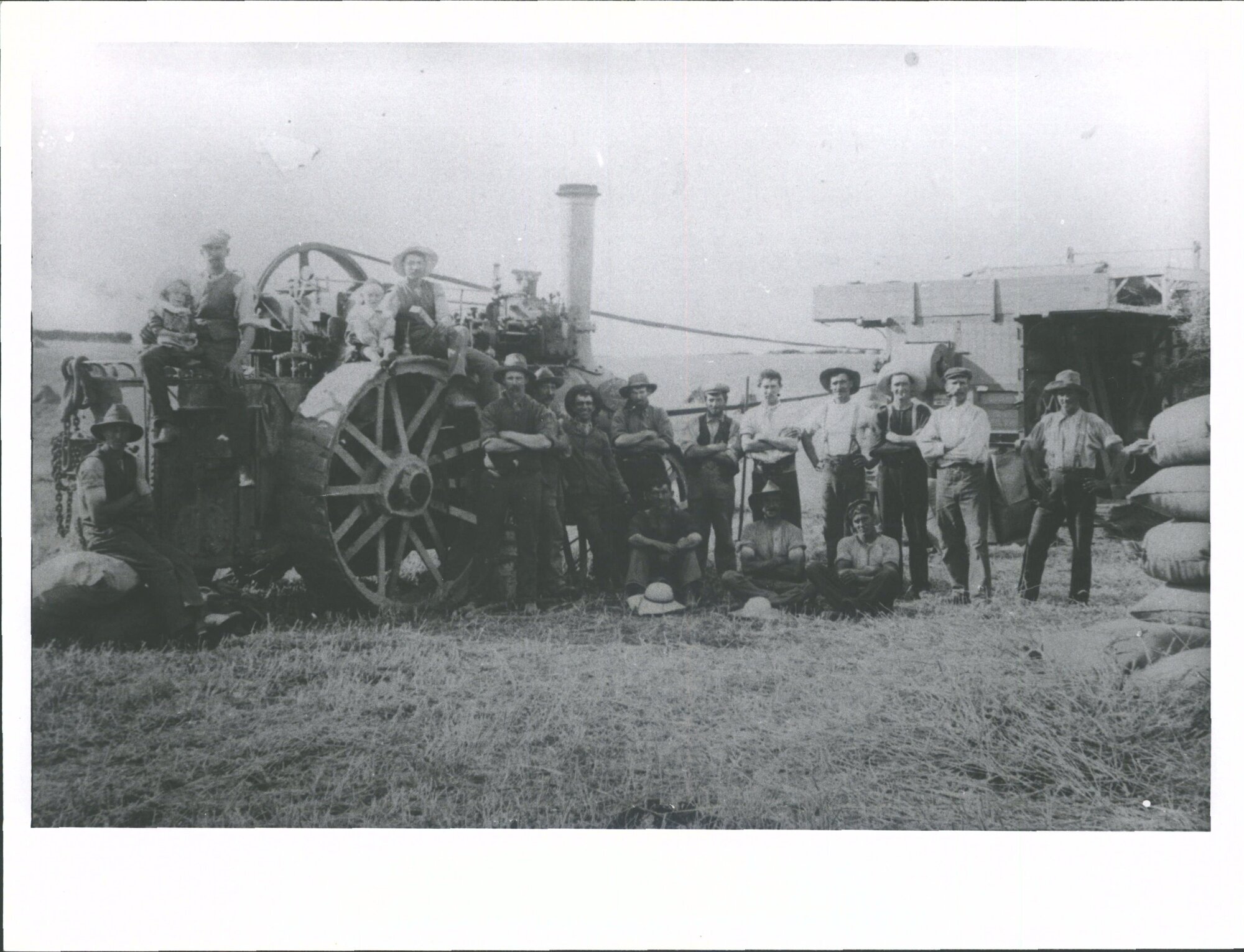 threshing wheat -  traction engine