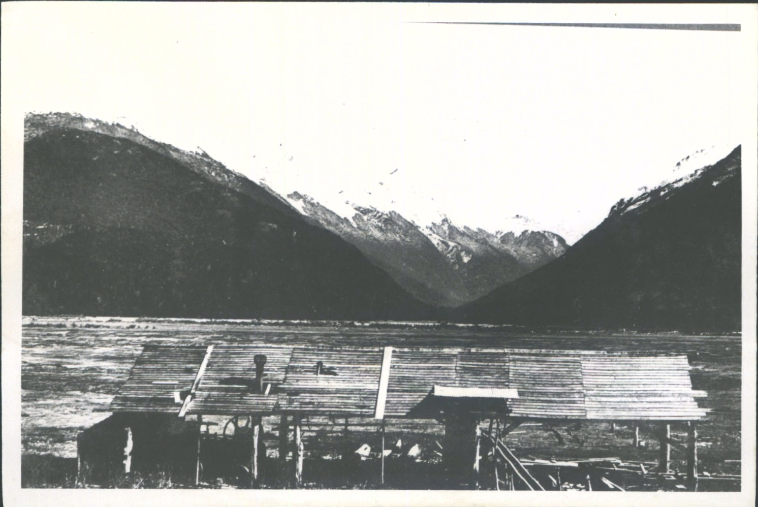 Timber Mill opposite Young River Confluence