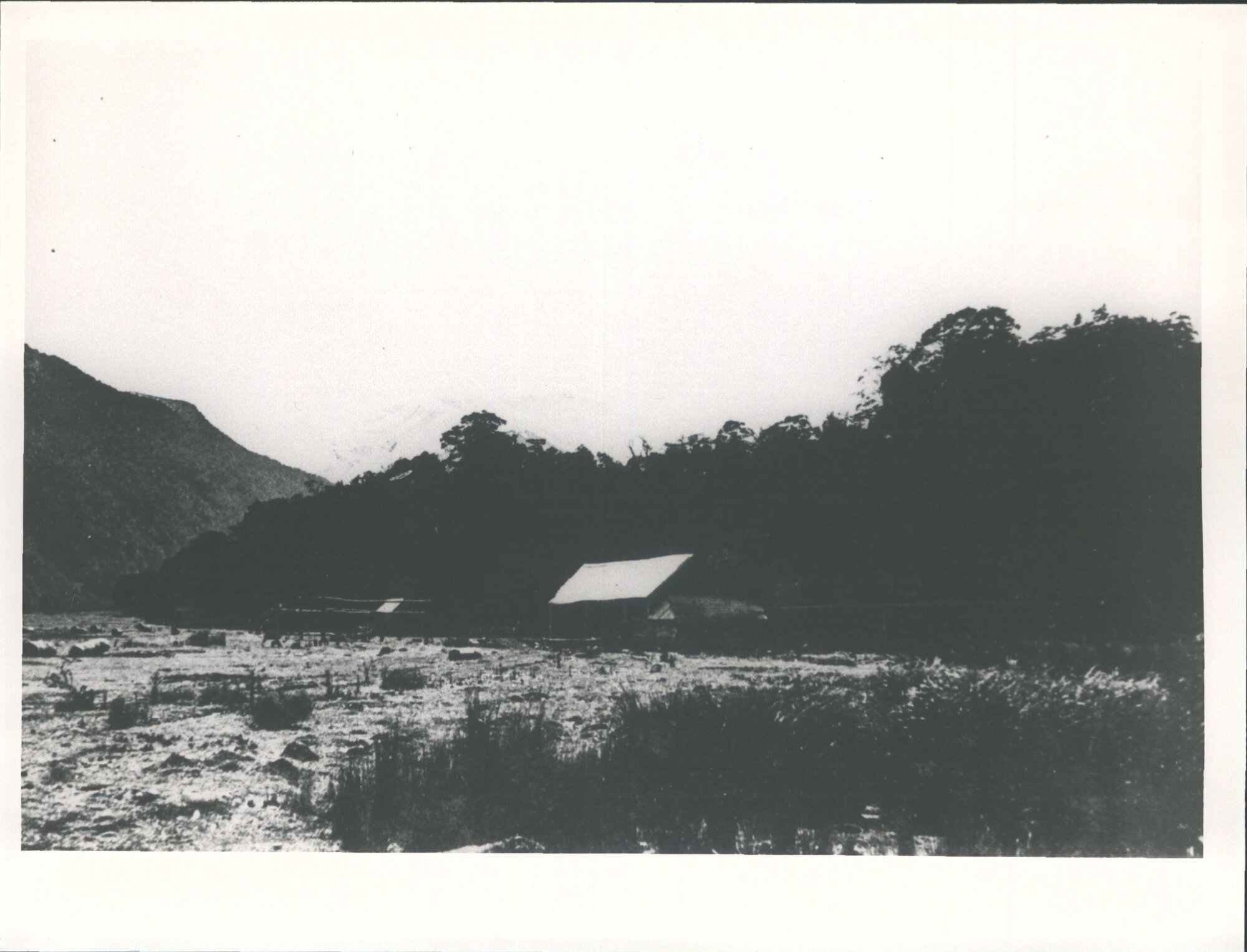 Timber Mill on the left bank opposite the Young River confluence