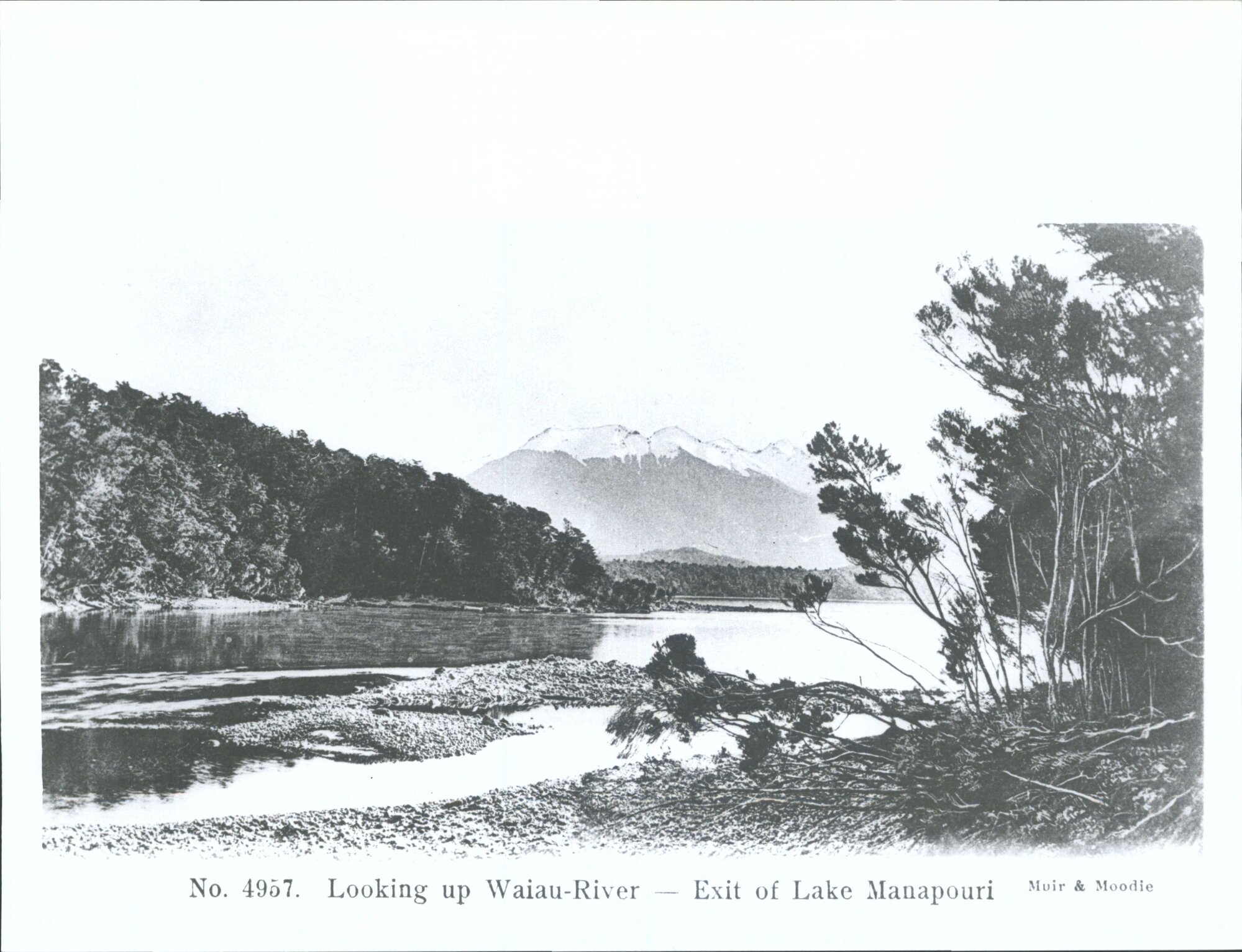 Looking up Waiau River