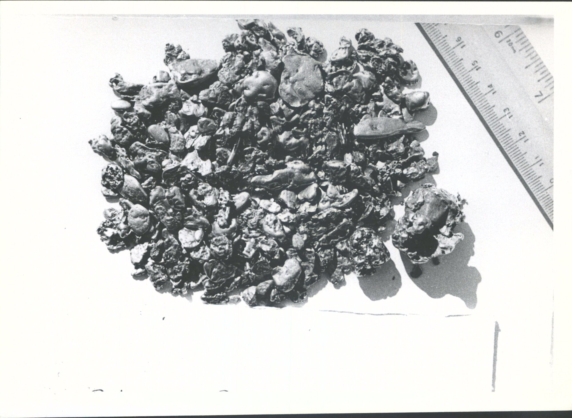 21oz rough Clutha gold