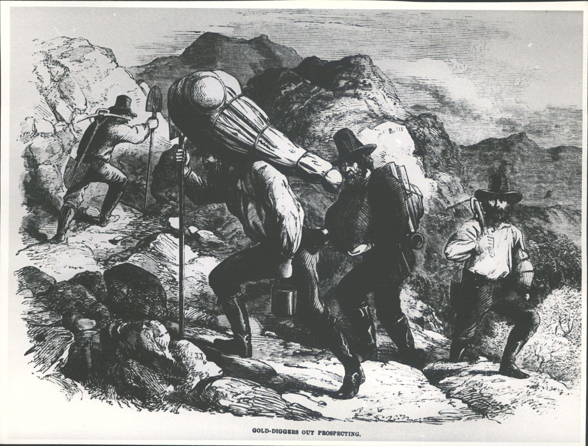 Golddiggers on the march