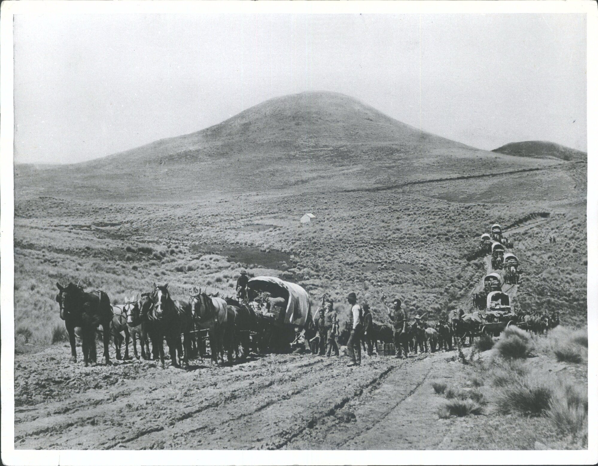 Transport to the Dunstan goldfields