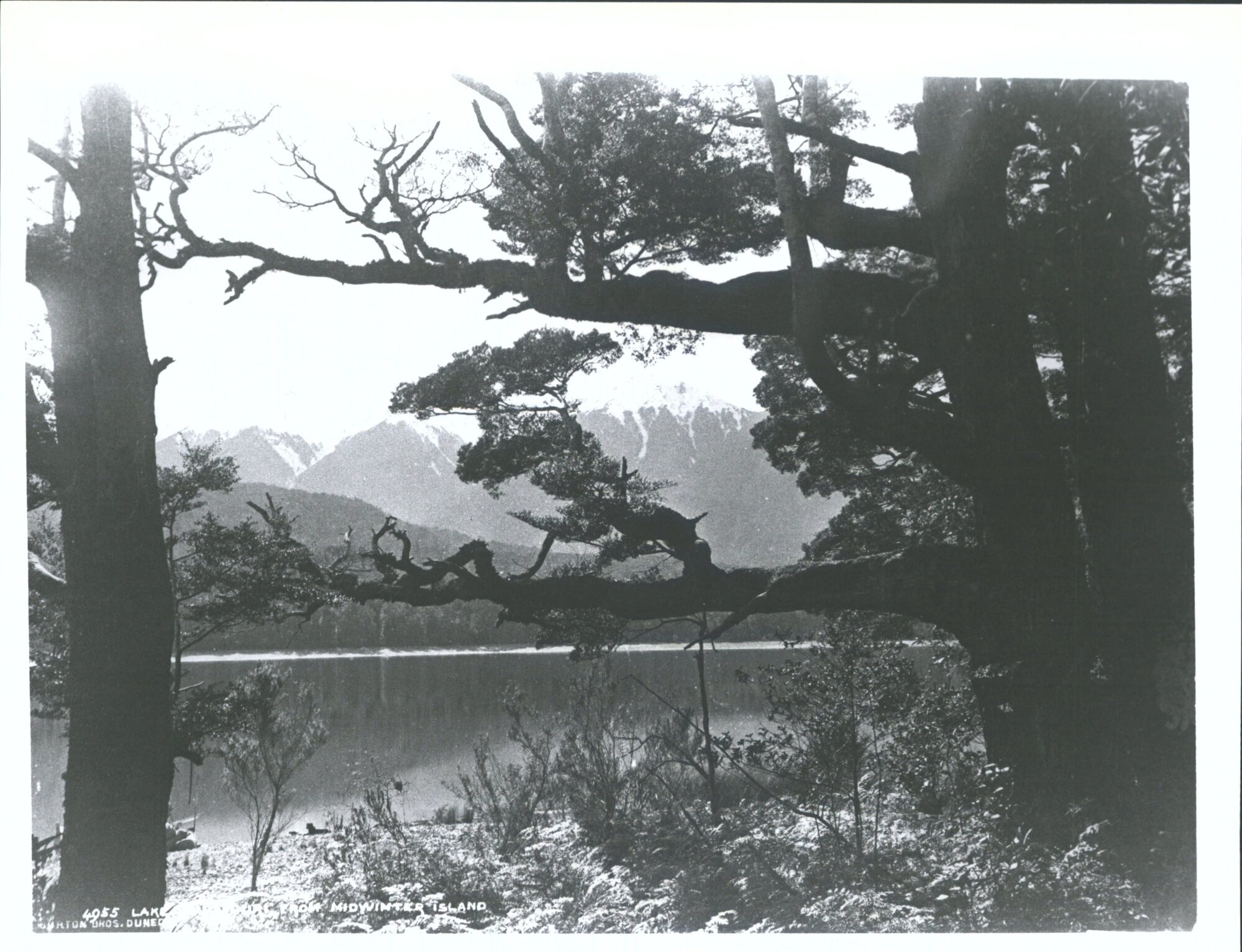 From Midwinter Island