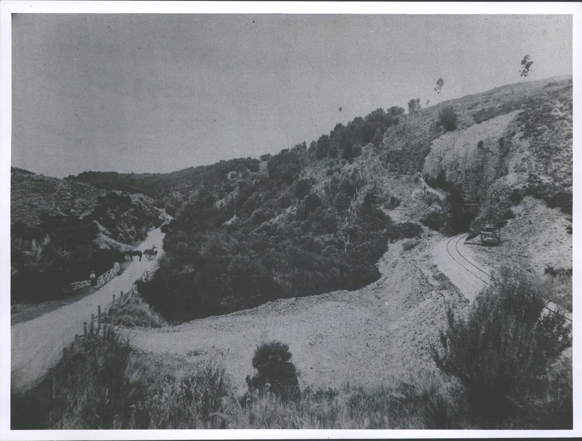 Manuka  Gorge &amp; Creek.
