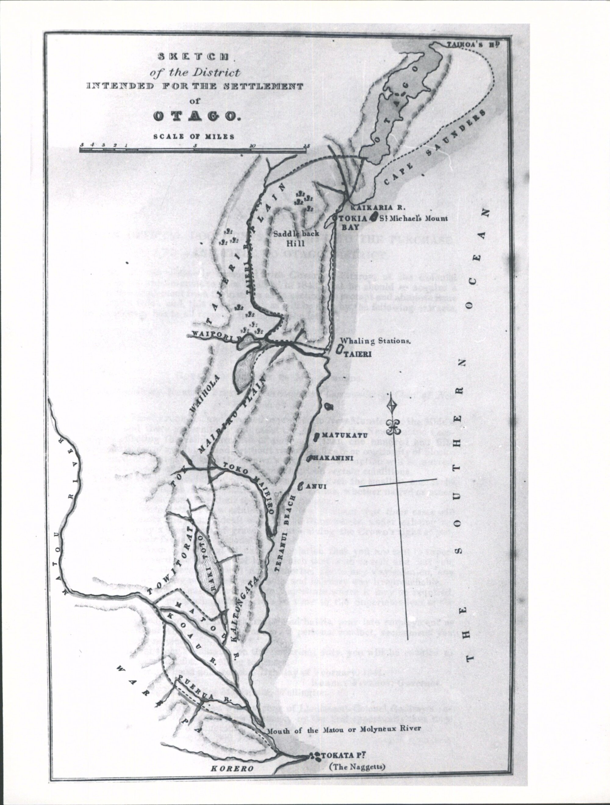 N.Z South Island Otago