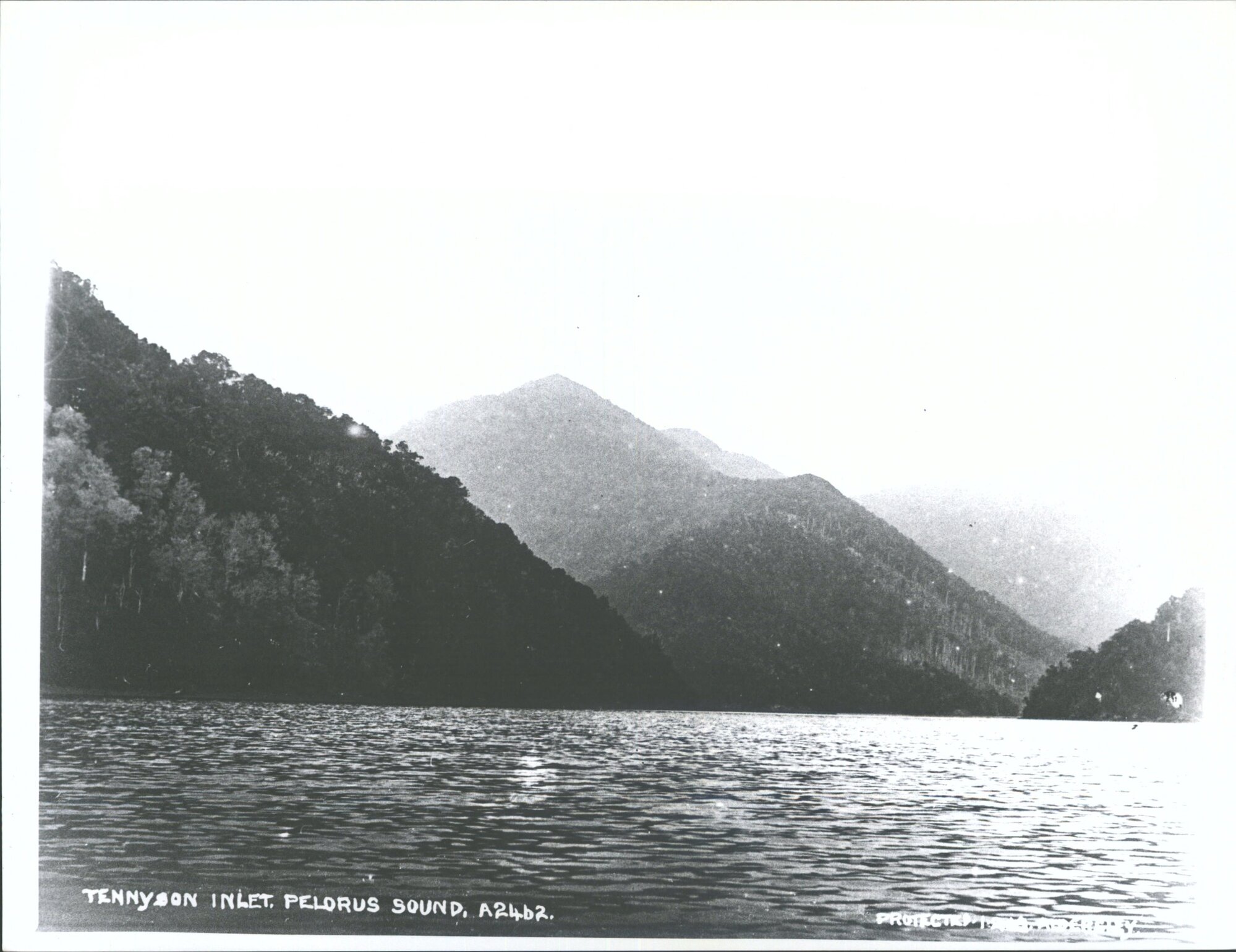 Pelorus Sound
