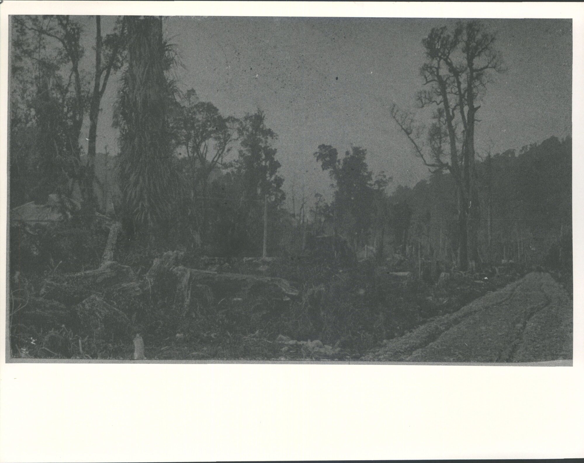 Marsden road opposite Harmony Lodge.